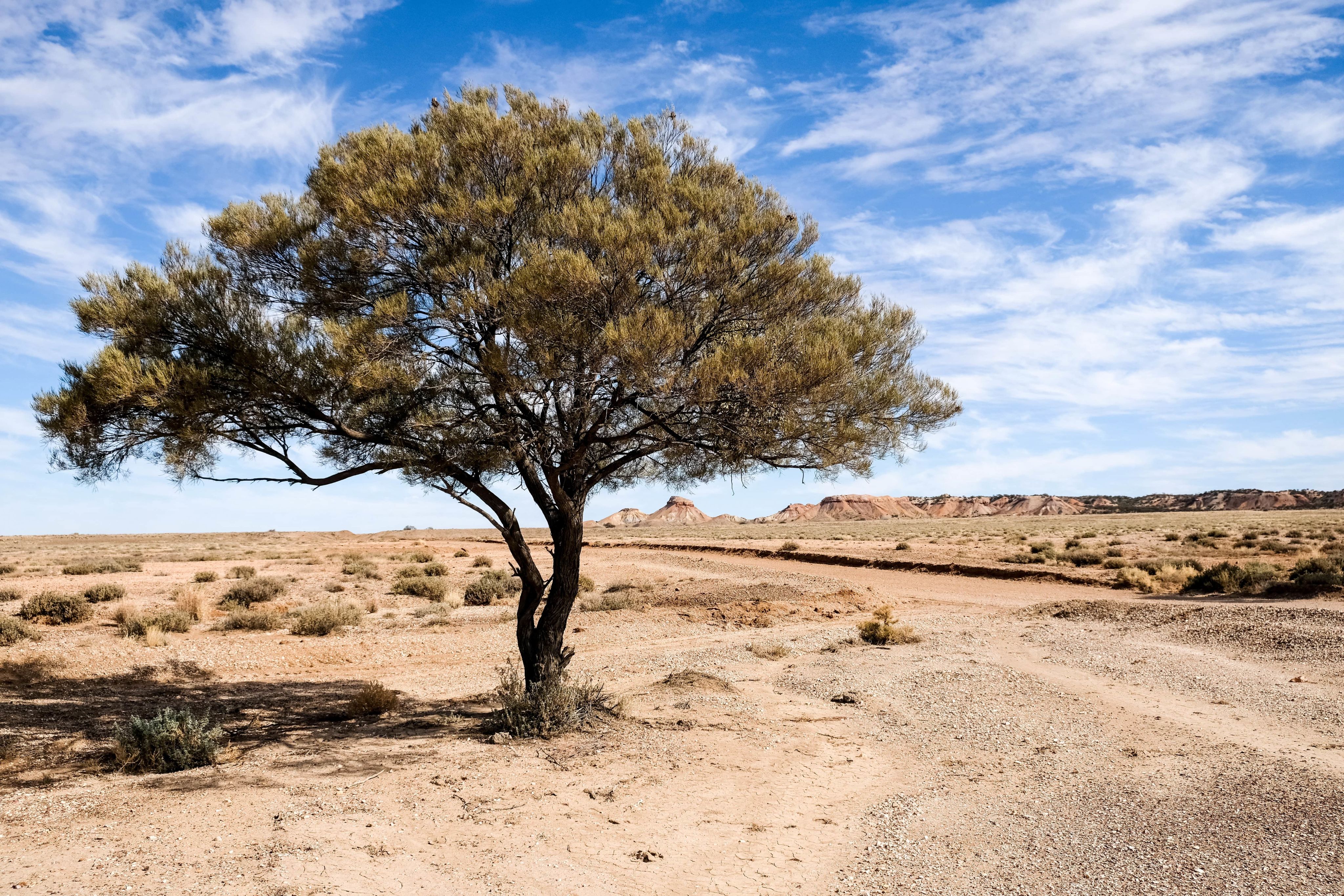 Painted Desert Road, Arckaringa SA, Australia