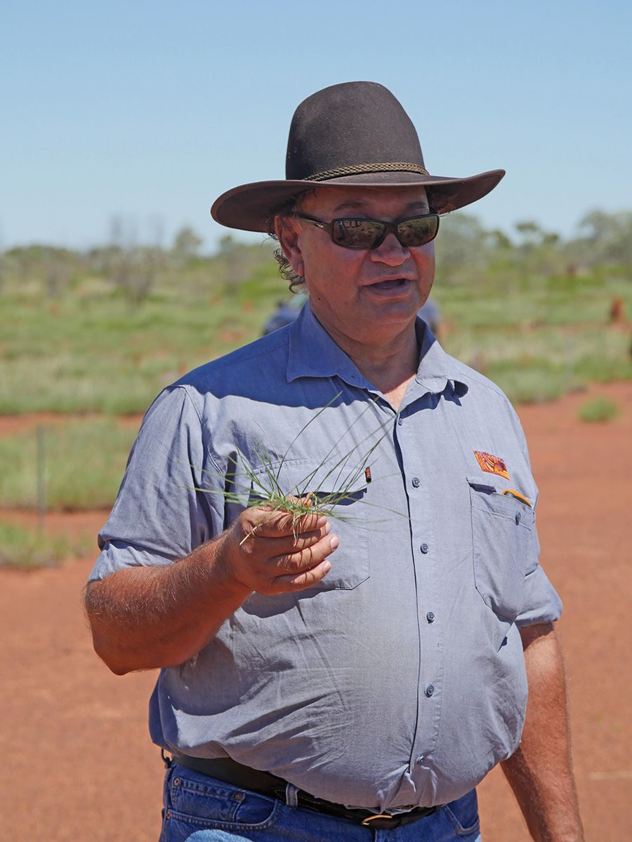 A photo of Colin Saltmere standing in the desert, holding strands of spinifex.