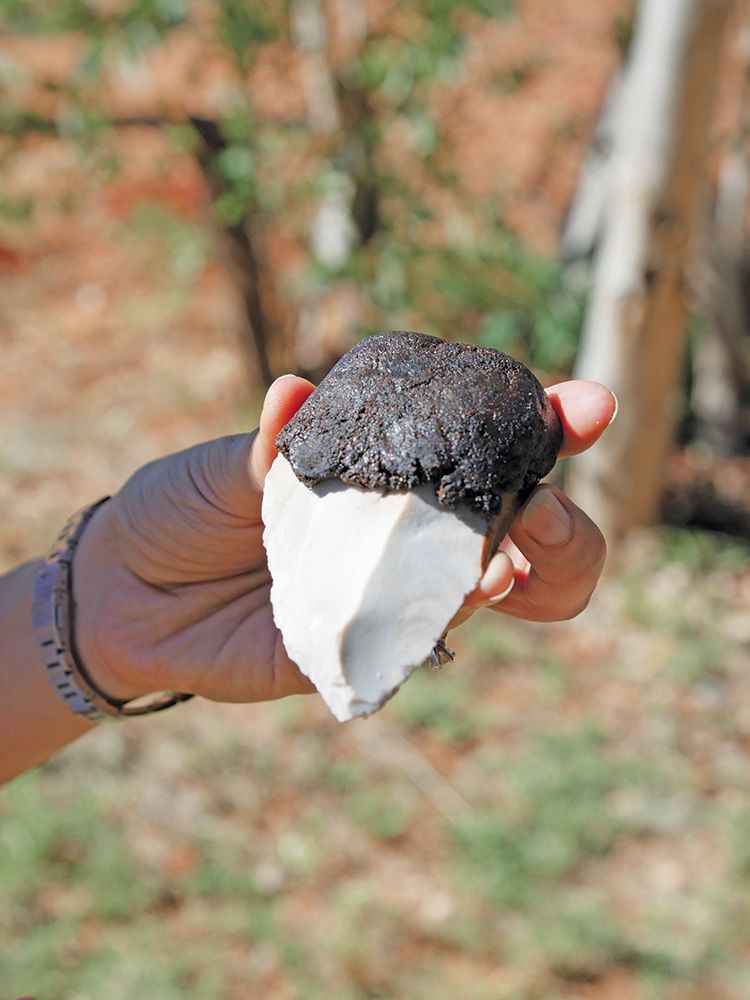 A hand holding an Indigenous stone cutting tool