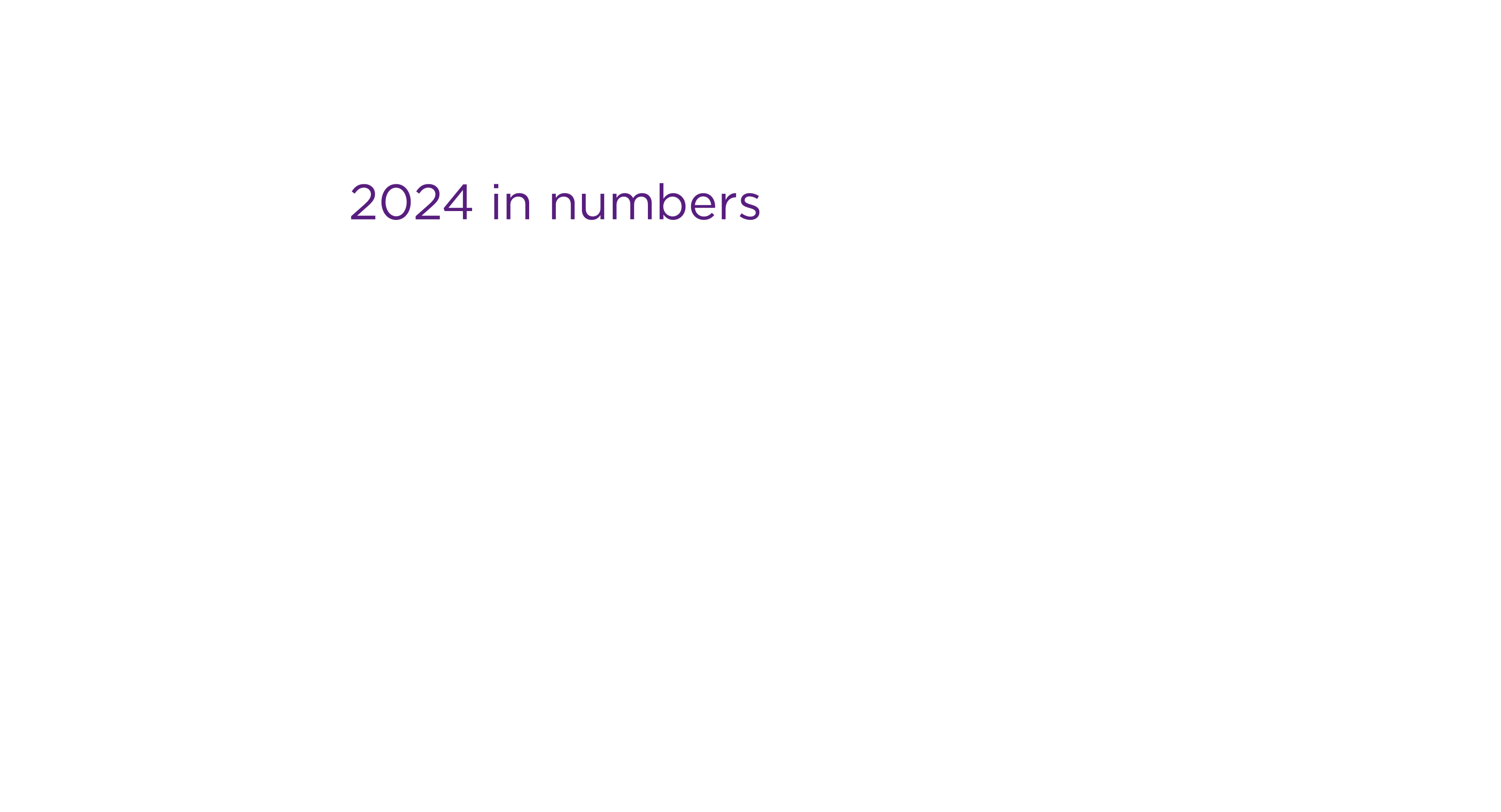 This image features only the title '2024 in numbers'.