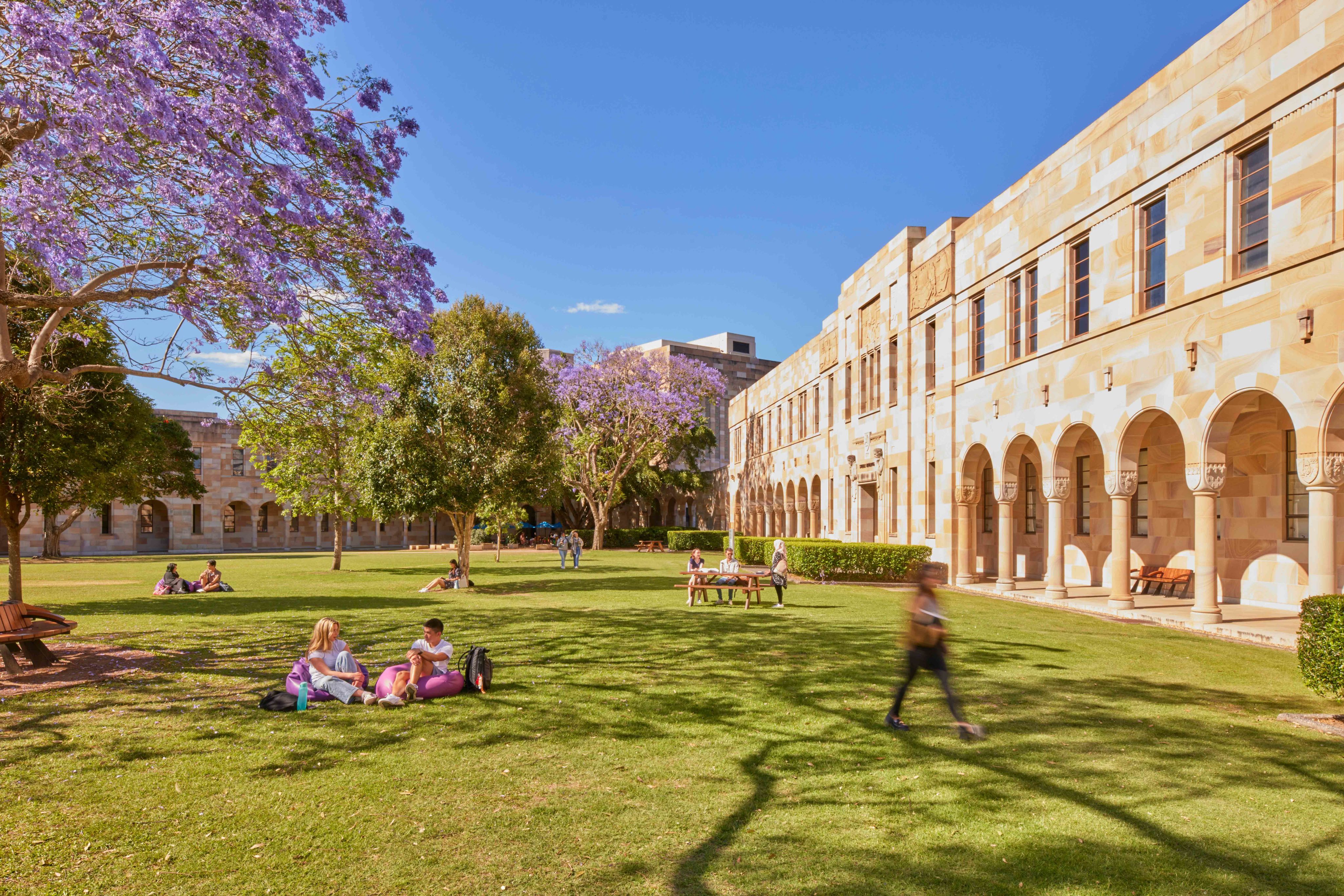 The Great Court on a bright, sunny day with students lounging on the grass underneath a jacaranda tree.