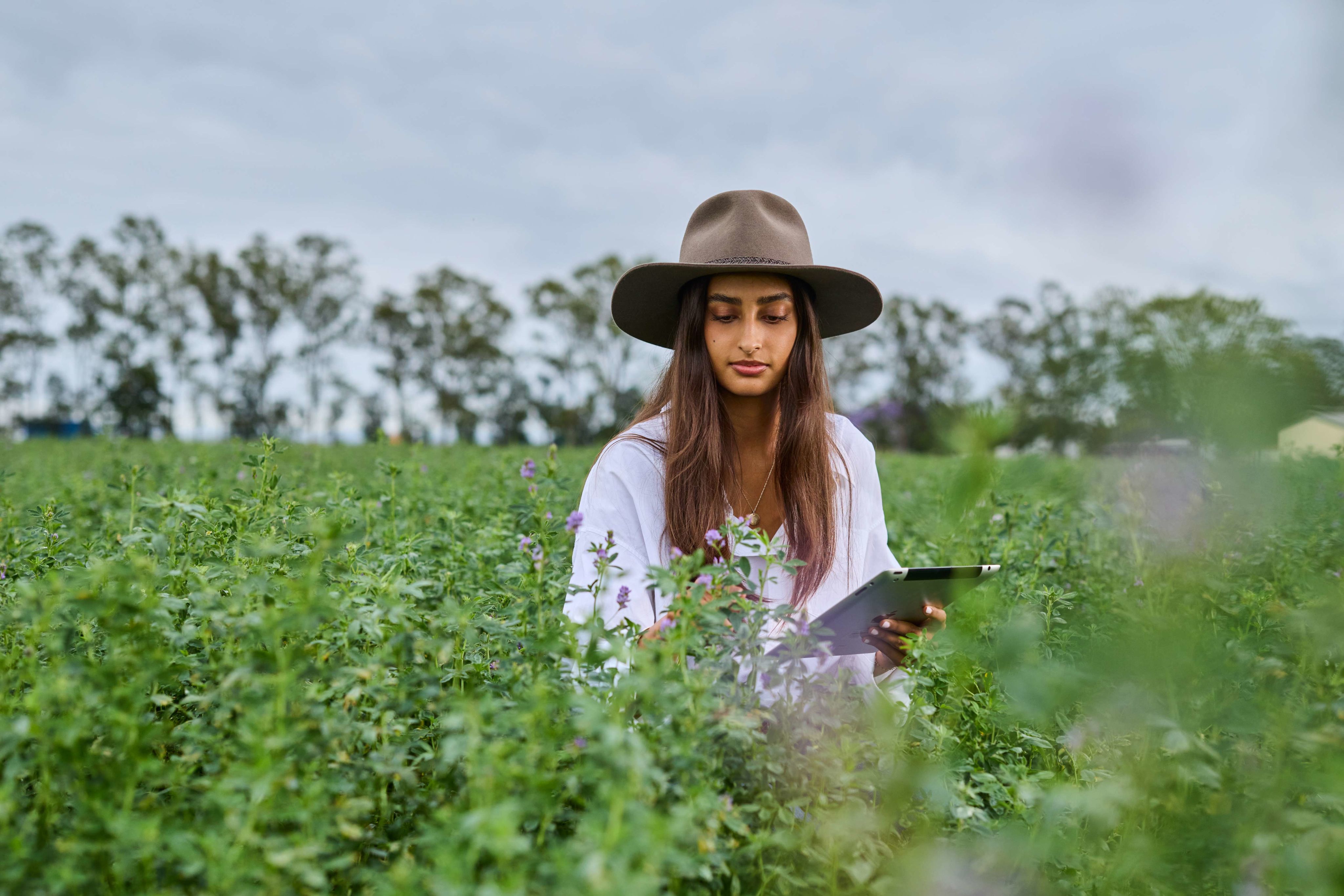 A student at The University of Queensland's Gatton Campus conducts research in a field of lush plants