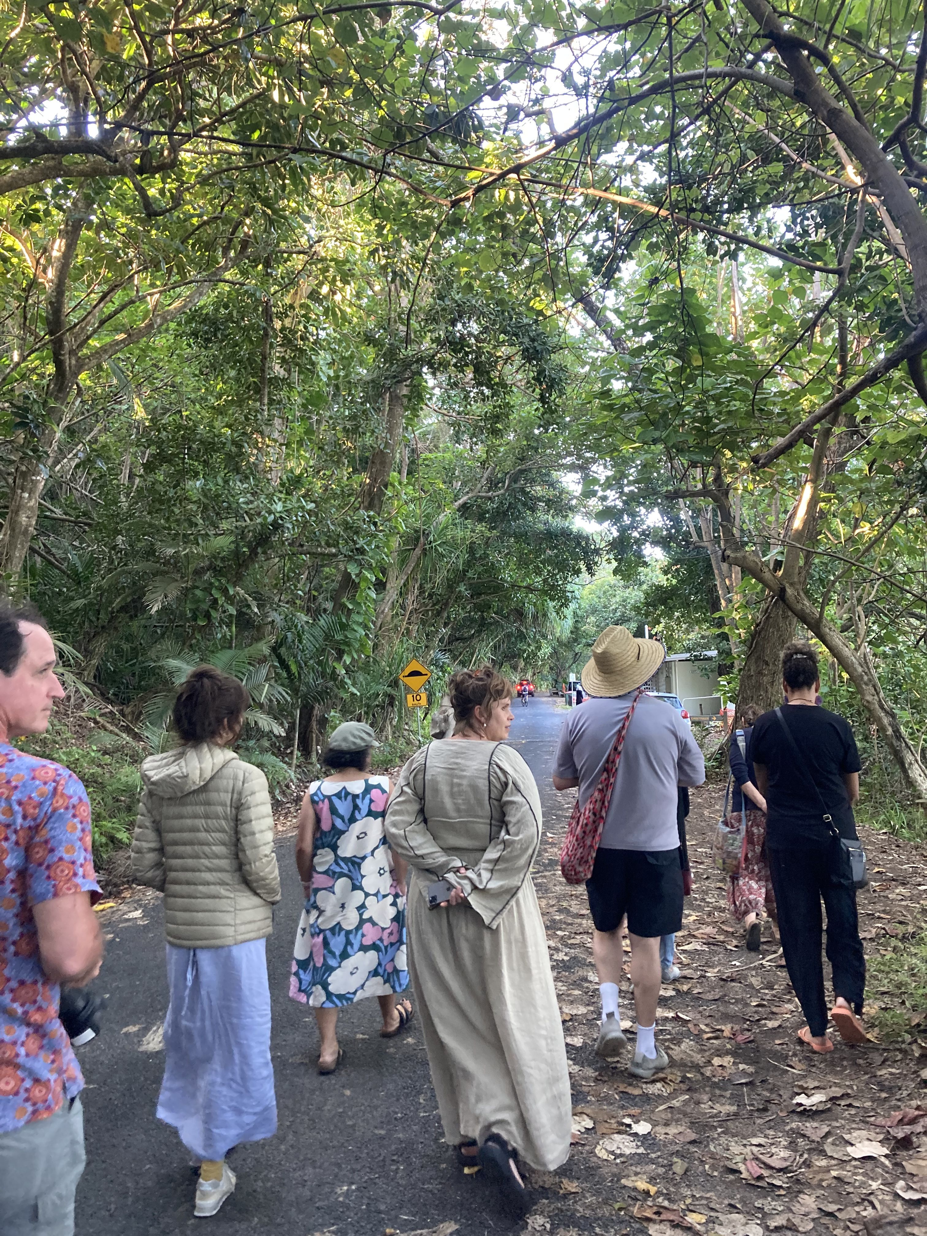A group of six people walking along a road surrounded by thick green vegetation and trees.