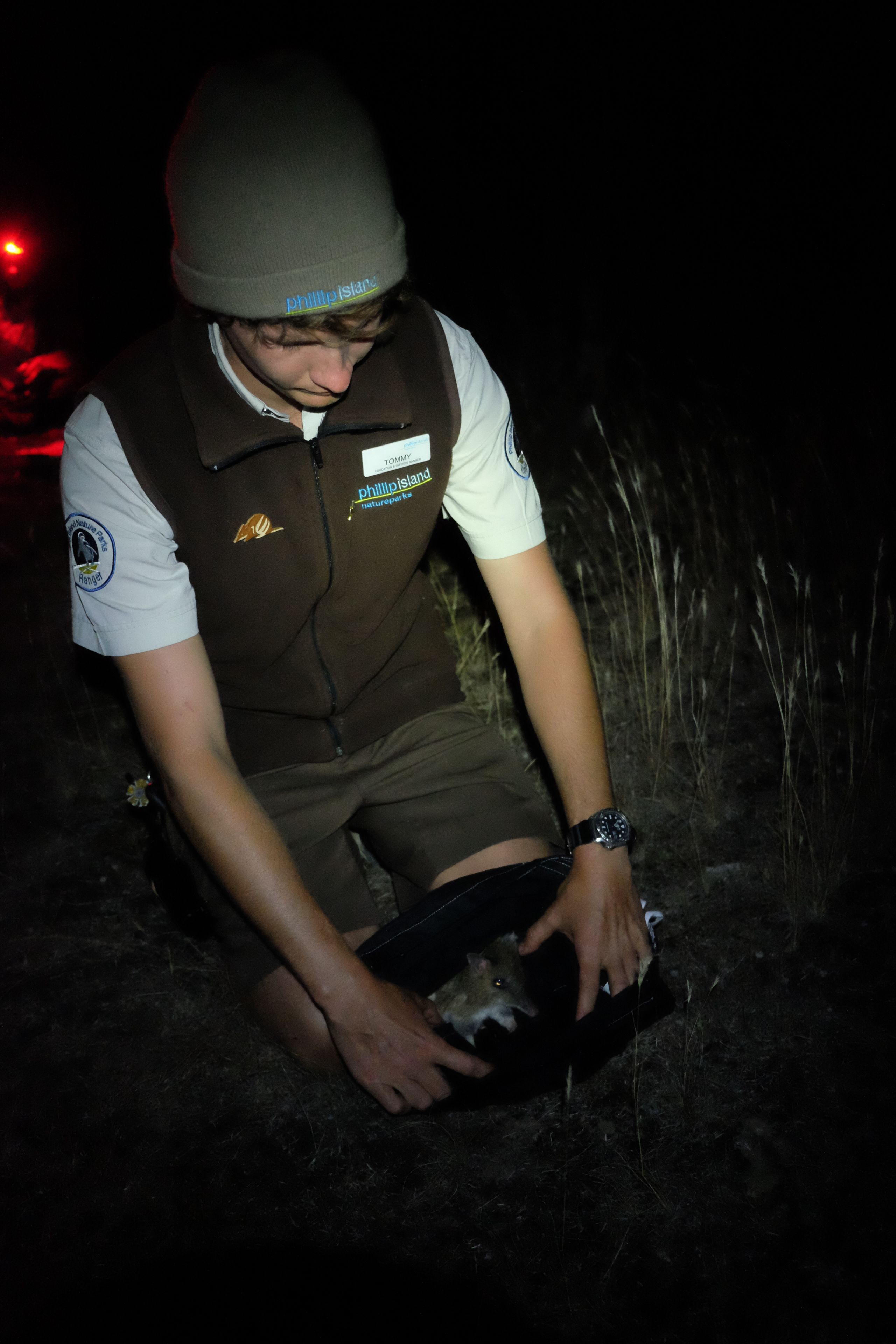 Thomas Nixon with Eastern Barred Bandicoot in pouch