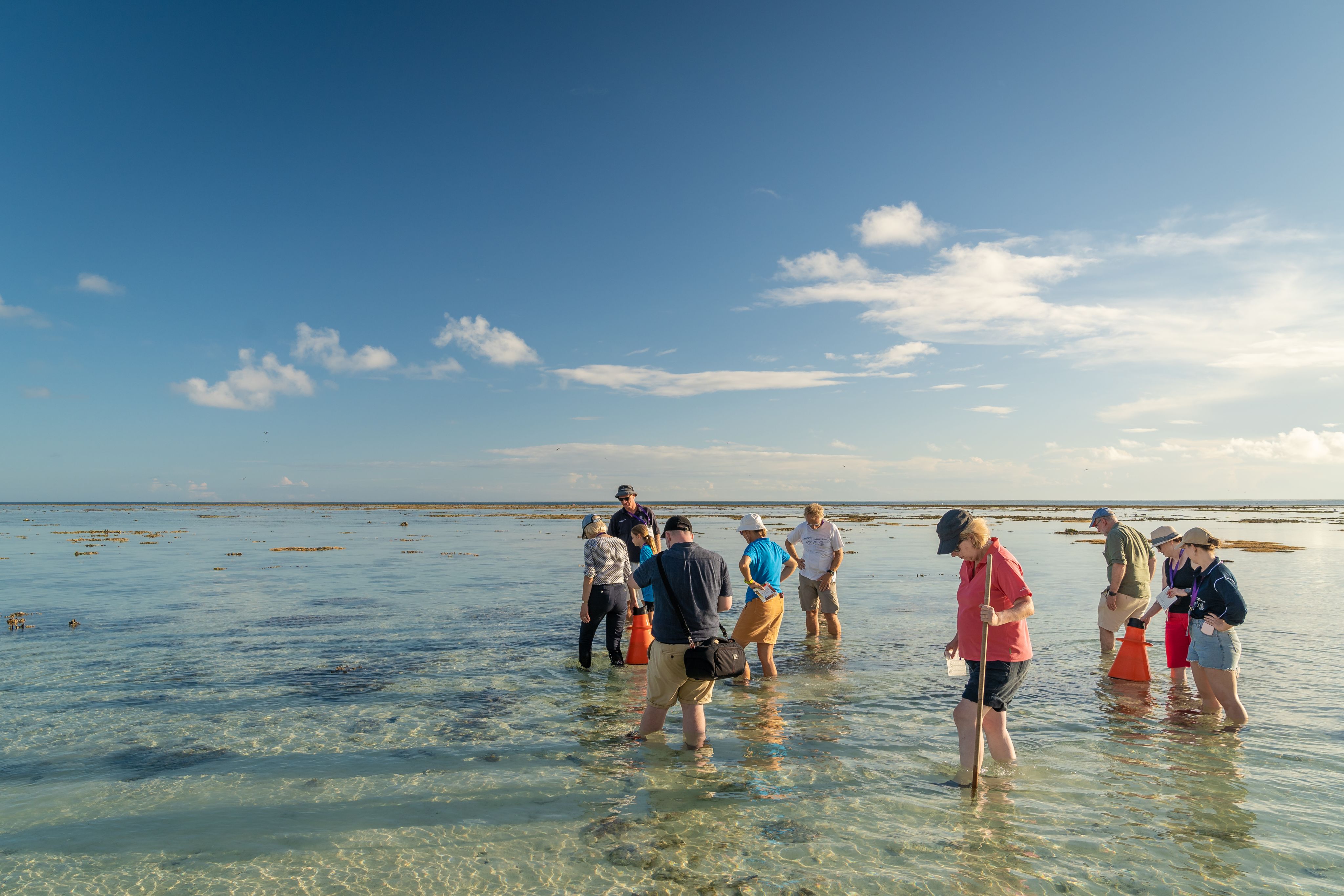 A group of people standing knee deep in the ocean under a blue sky, looking at coral beneath their feet