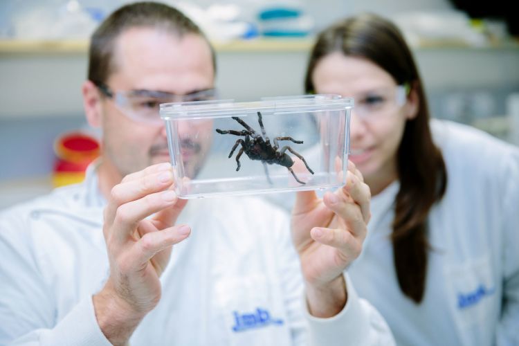 This is an image of Dr Sandy Pineda Gonzalez from UQ's Institute for Molecular Bioscience.
