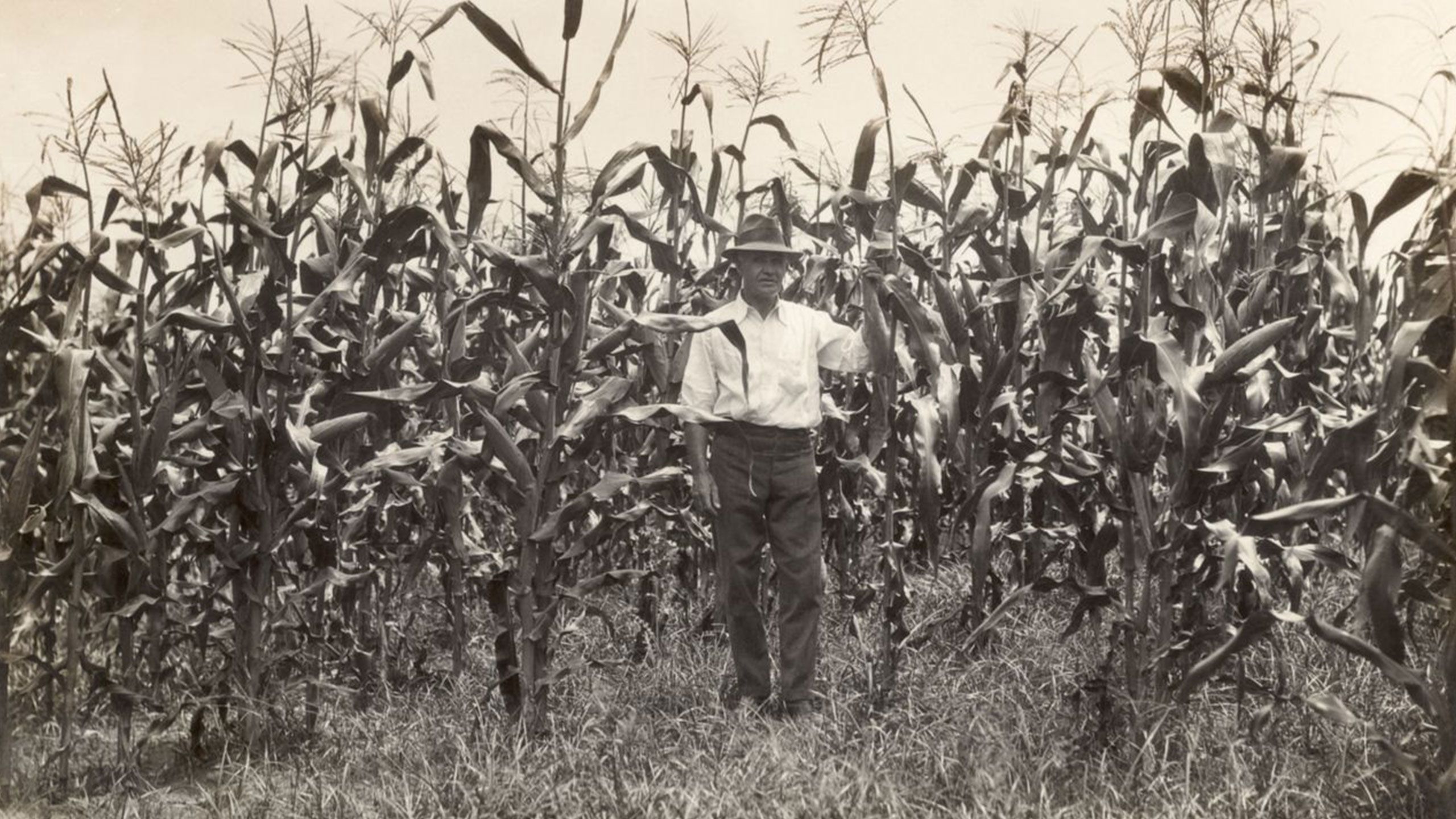 An image of a member of the St Lucia Farm School in 1933.