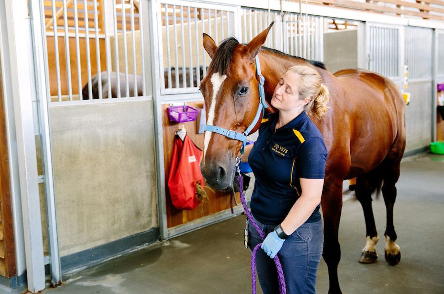 An image of a woman standing next to her horse at UQ Gatton in February 2016..