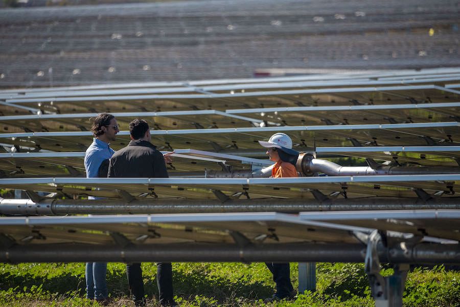 An image of three people looking at solar panels at the Warwick Solar farm, July 2020.