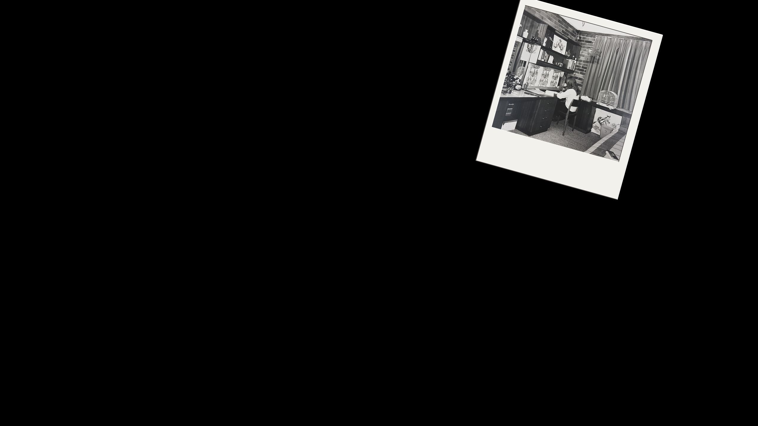 Historic images of Grace College over the past 50 years, including a student studying, students eating in the dining hall and an outside view of the college.