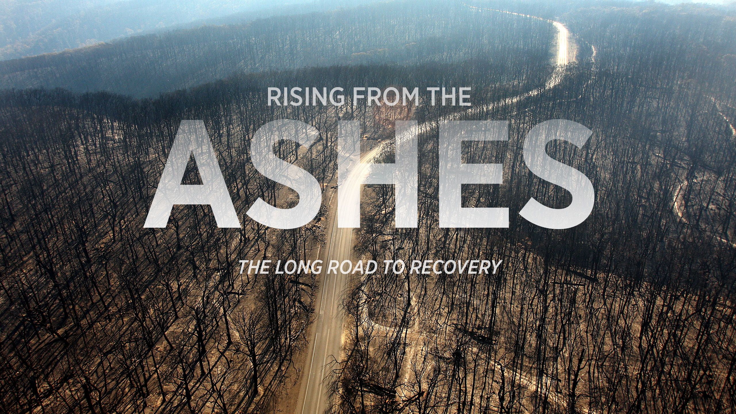 An image of a road between mountains of burnt out bushland.