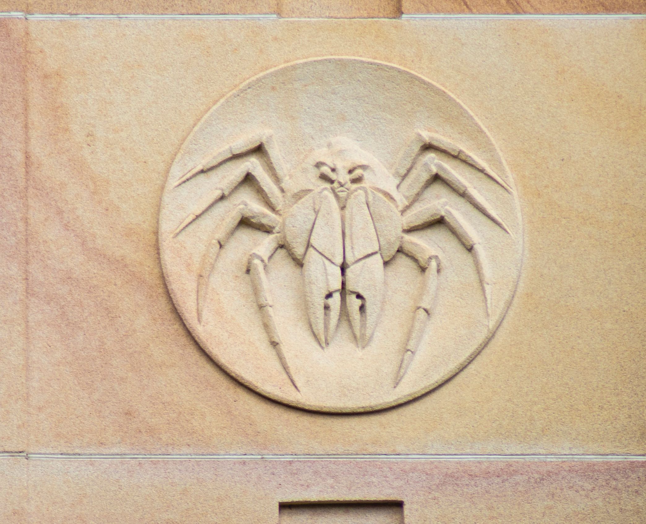 Roundel of a soldier crab
