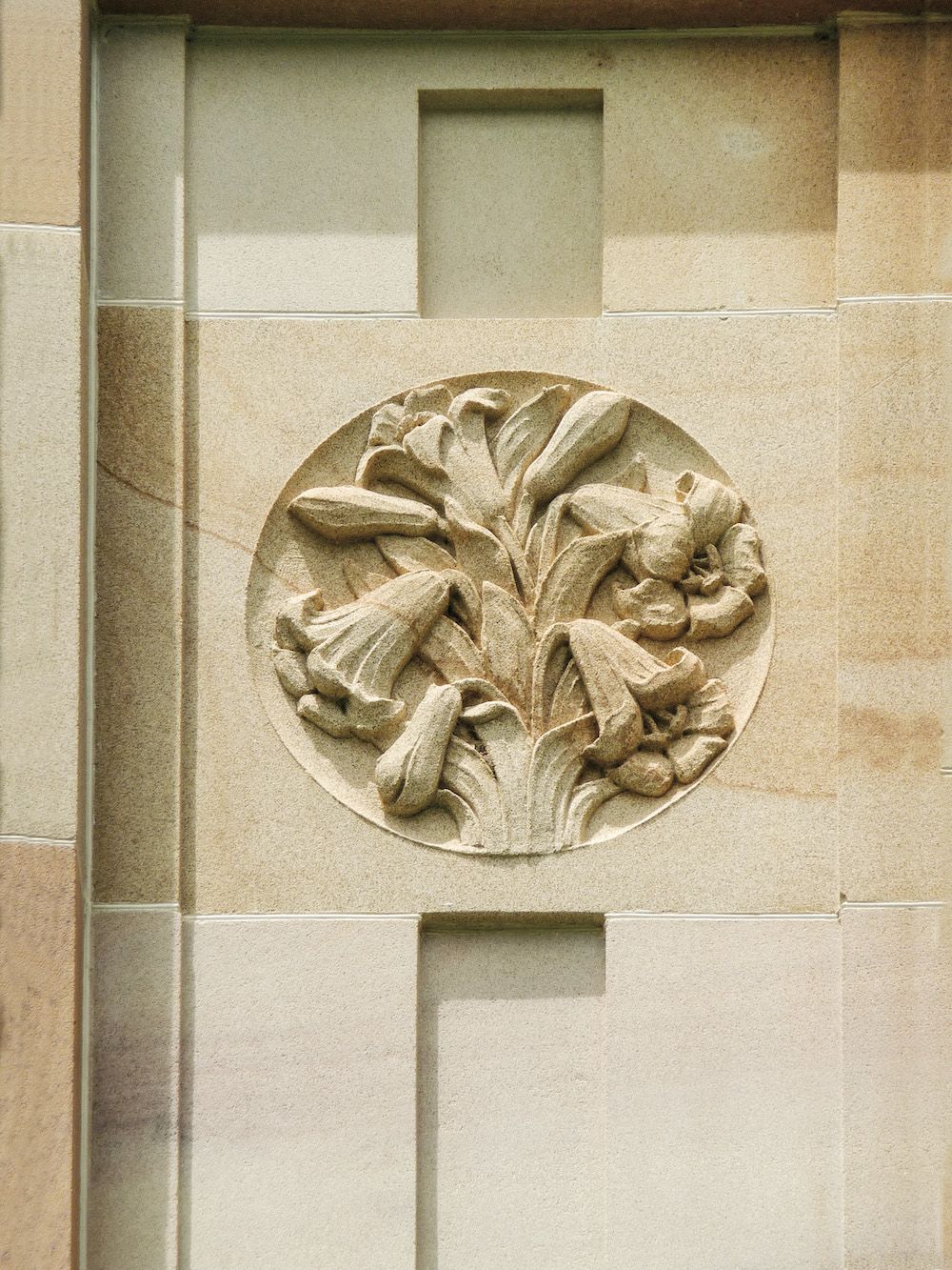 Roundel of a November lily