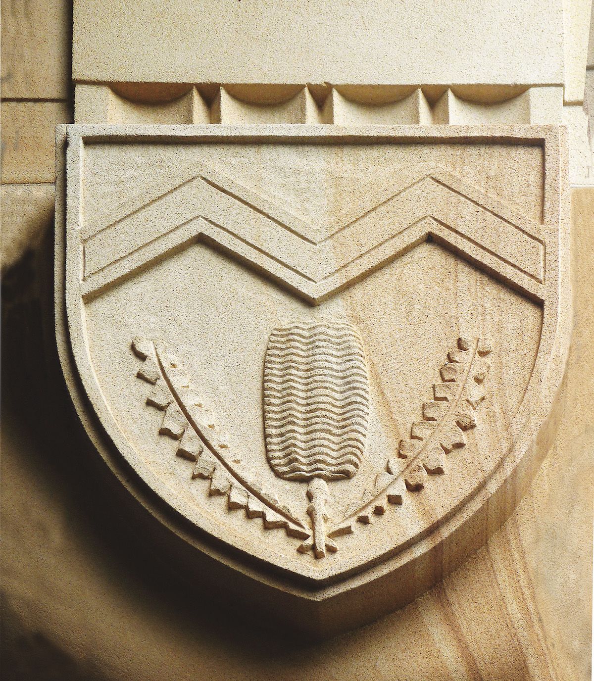 Murdoch University coat of arms carving