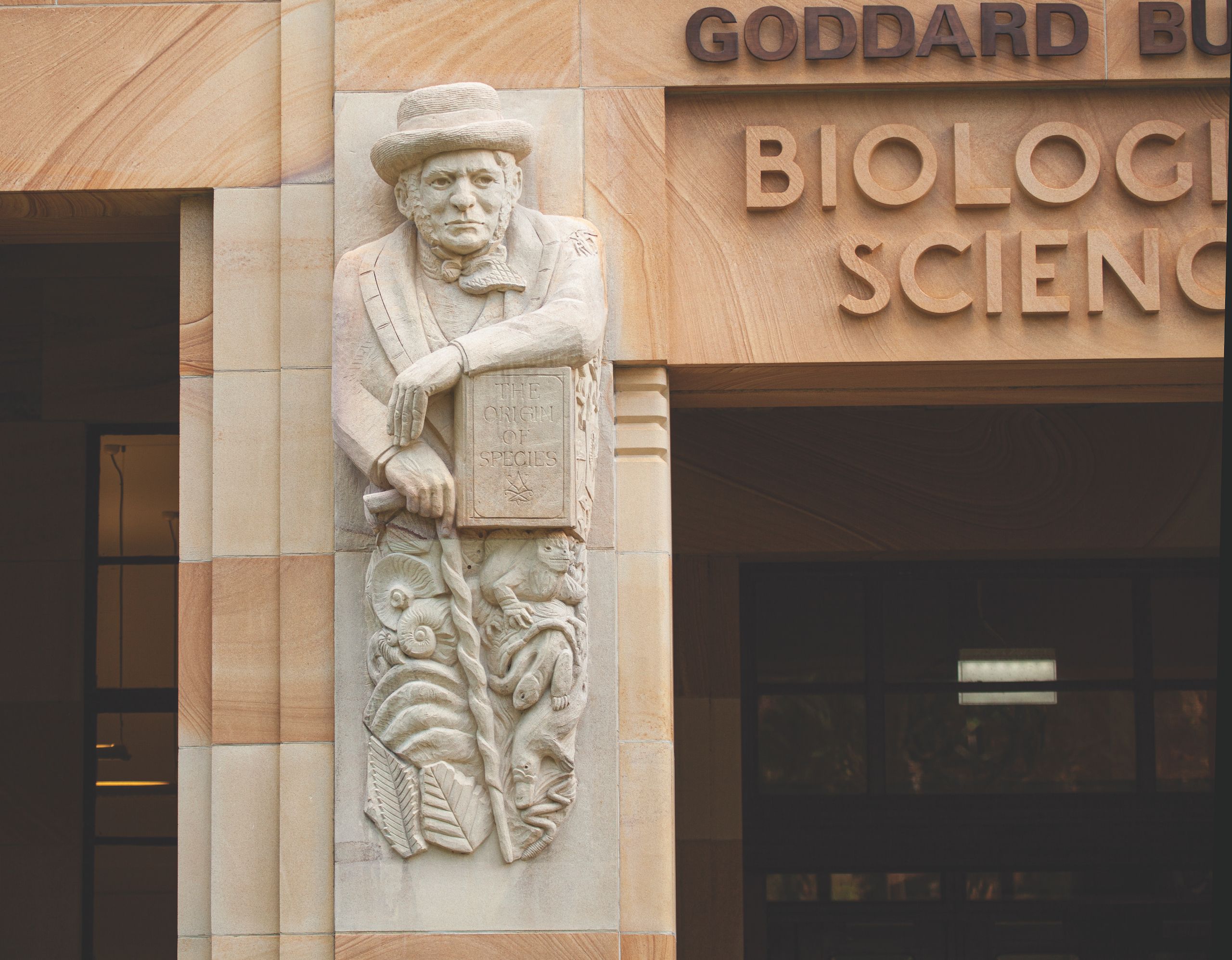 Sculpture of Charles Darwin