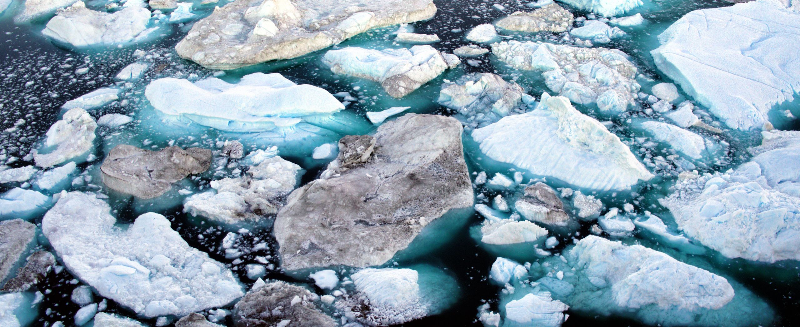 Icebergs from a melting glacier.