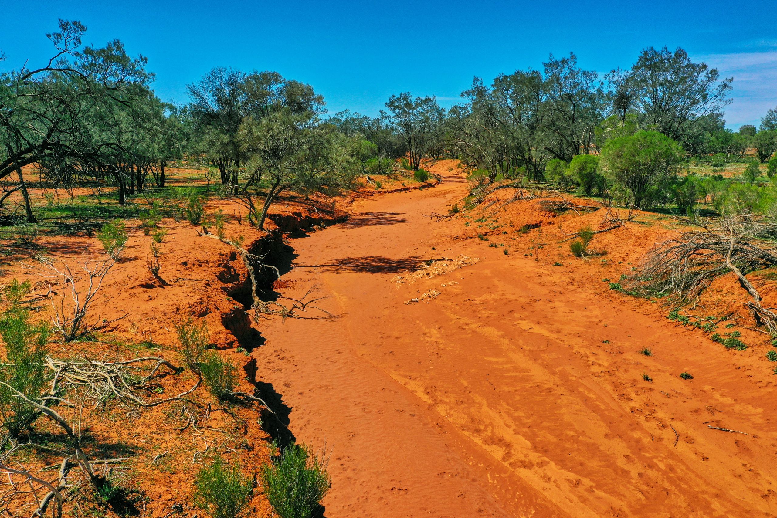 An image of a dry riverbed with red sand, green trees and blue sky, outback creek, rural Australia.