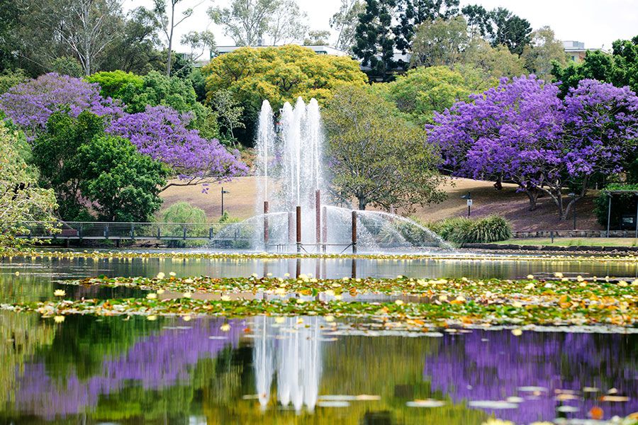 An image of the Lake Fountain.