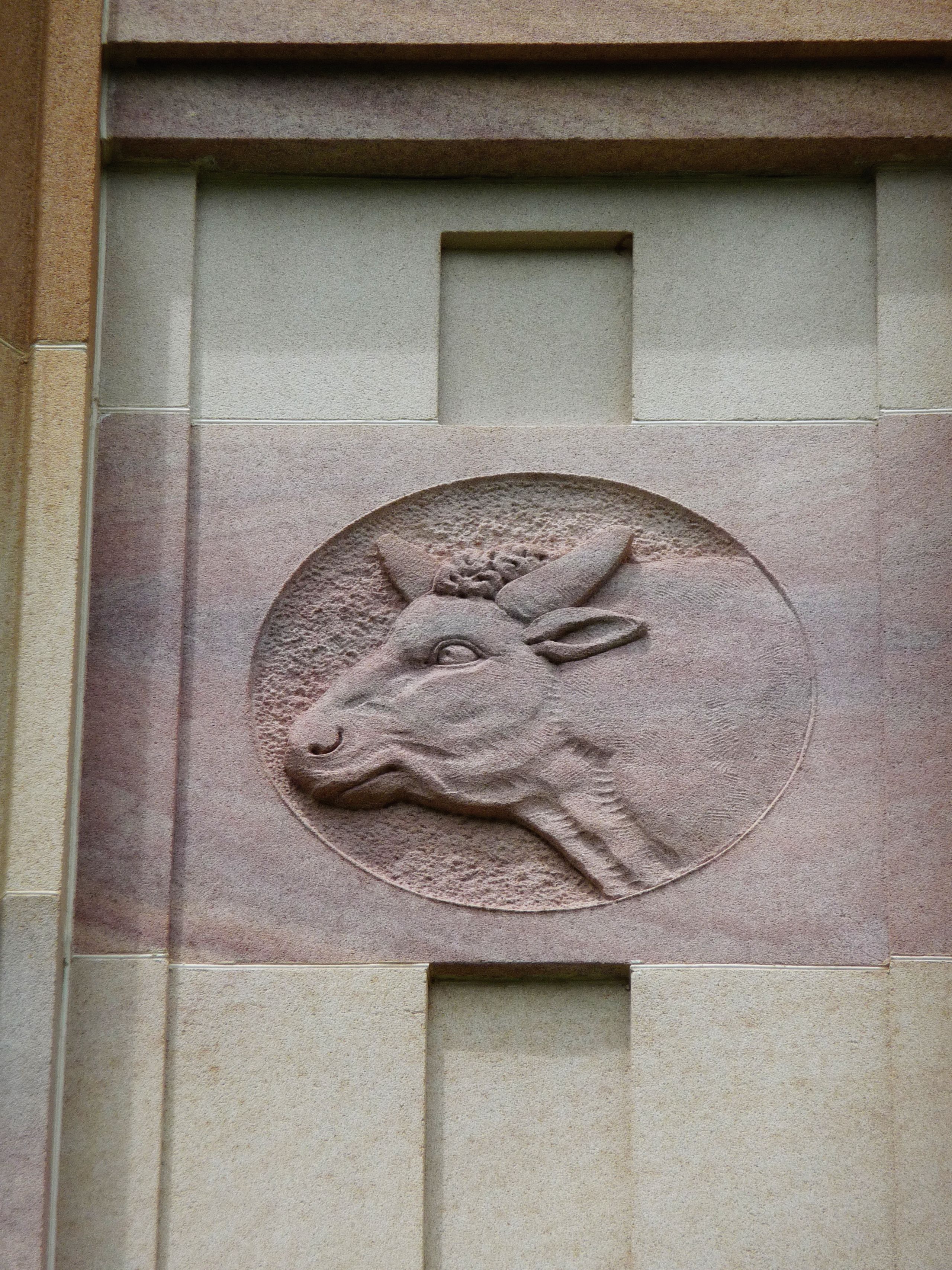 A bull roundel at UQ St Lucia.