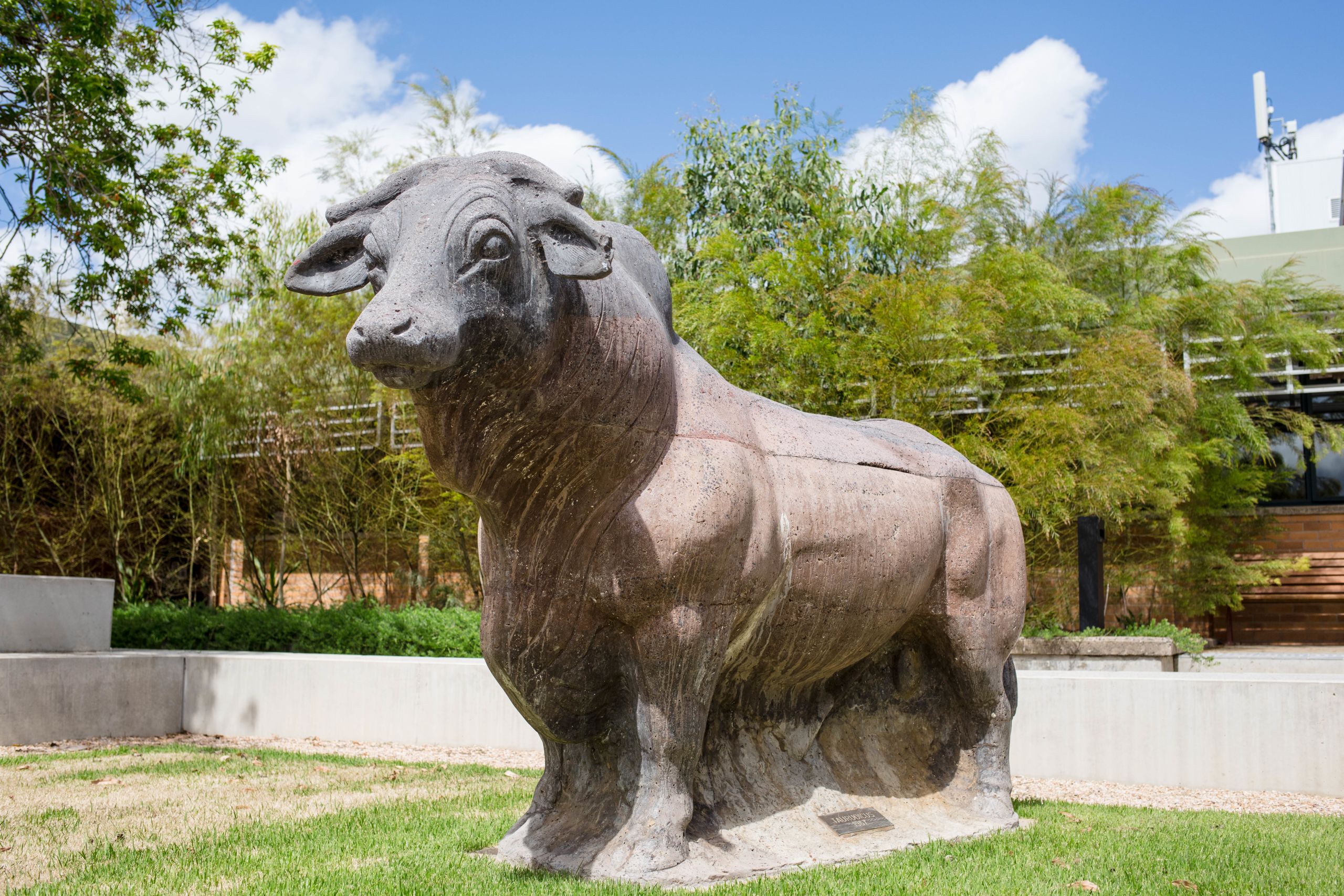 Taurudicus sculpture at UQ Gatton.