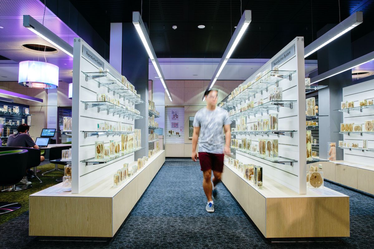 The Integrated Pathology Learning Centre at UQ Herston.