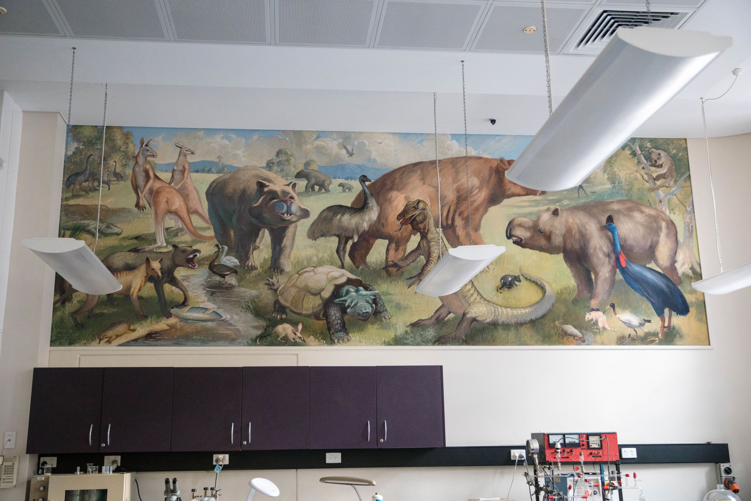 A wall mural at UQ St Lucia.