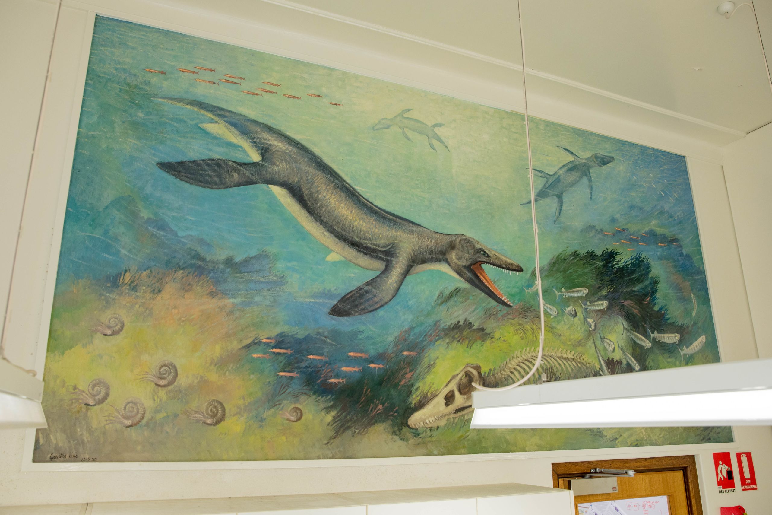 King of the sea wall mural at UQ St Lucia.