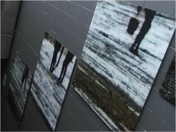 Photographs of inter-tidal zone.