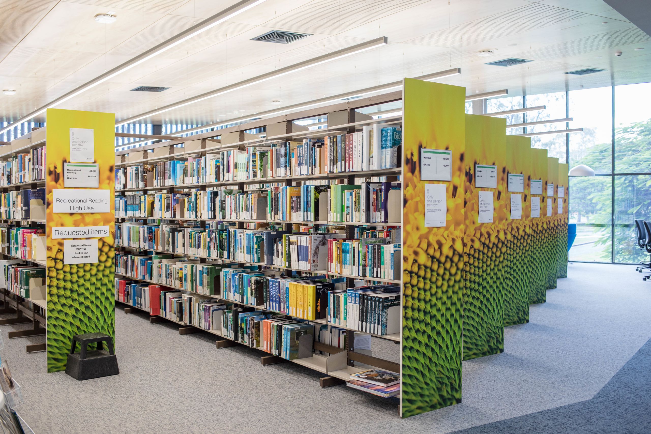Sunflower murals at UQ Gatton.