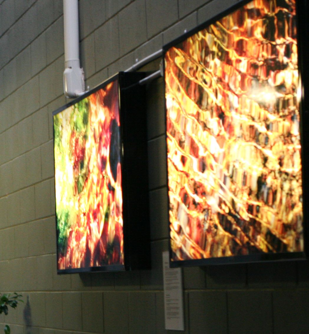 Lightbox images of rockpools.