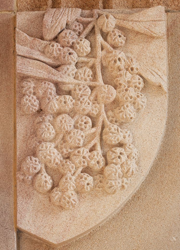 Half-shield sculpture of golden wattle at UQ St Lucia.