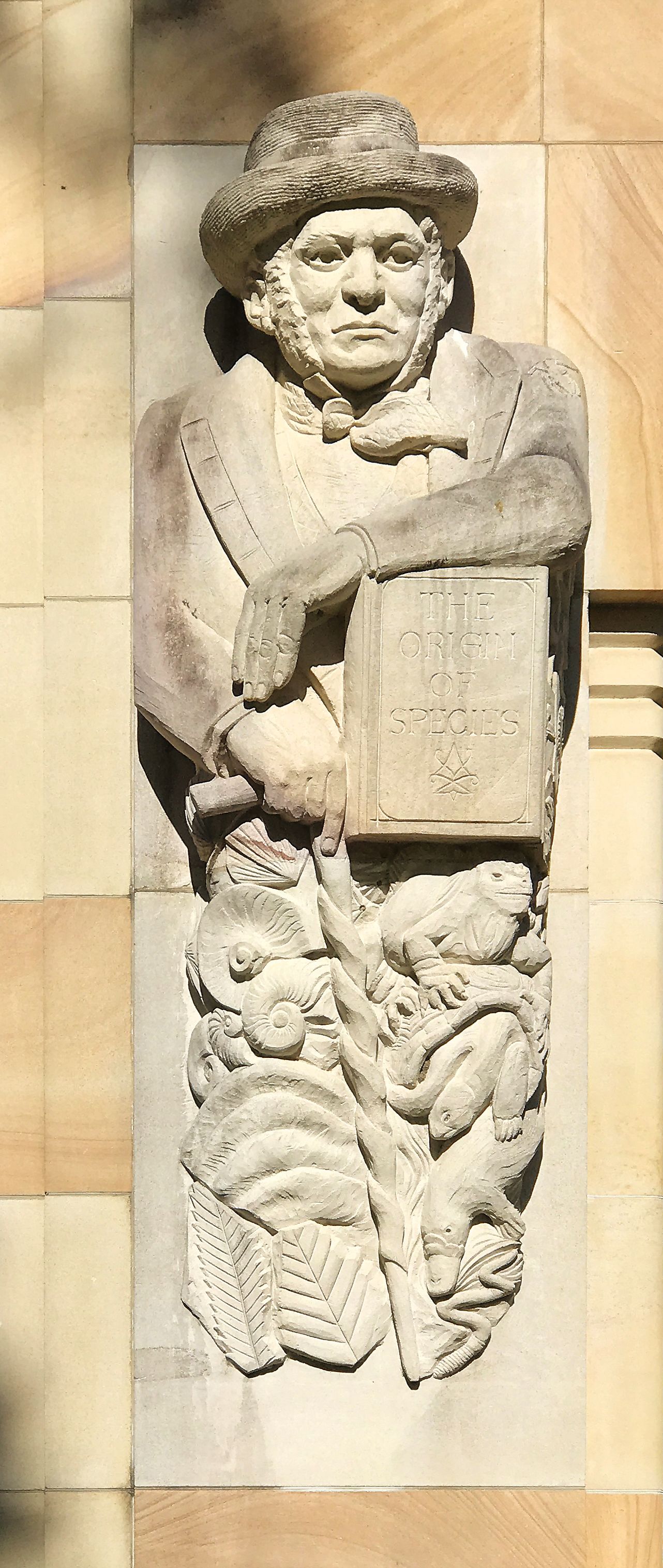 Sculpture of Charles Darwin.