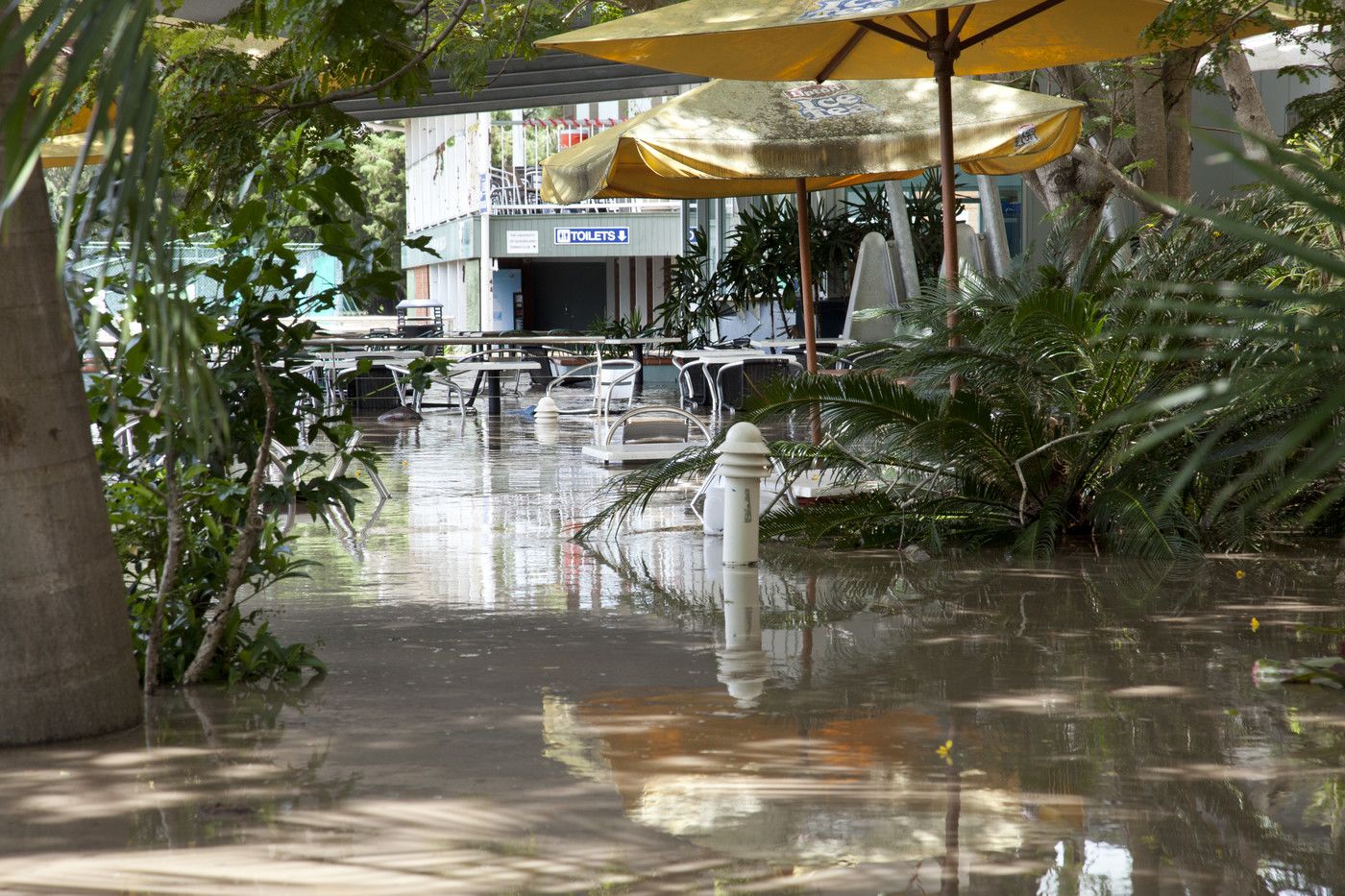 An image of water inundating Saint Lucy's cafe.