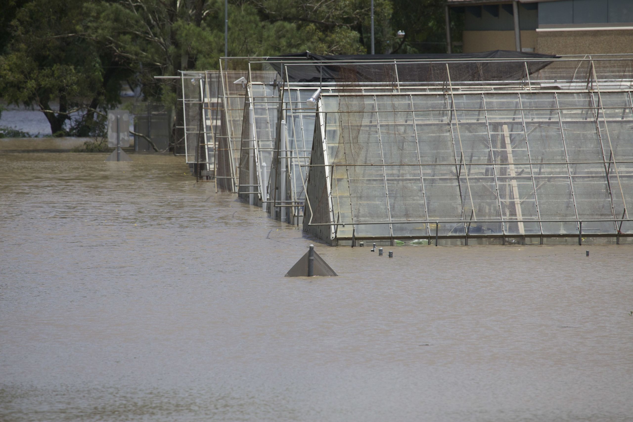An image of Only the roofs of UQ's glass house facilities sticking out of flood waters during the 2011 floods.