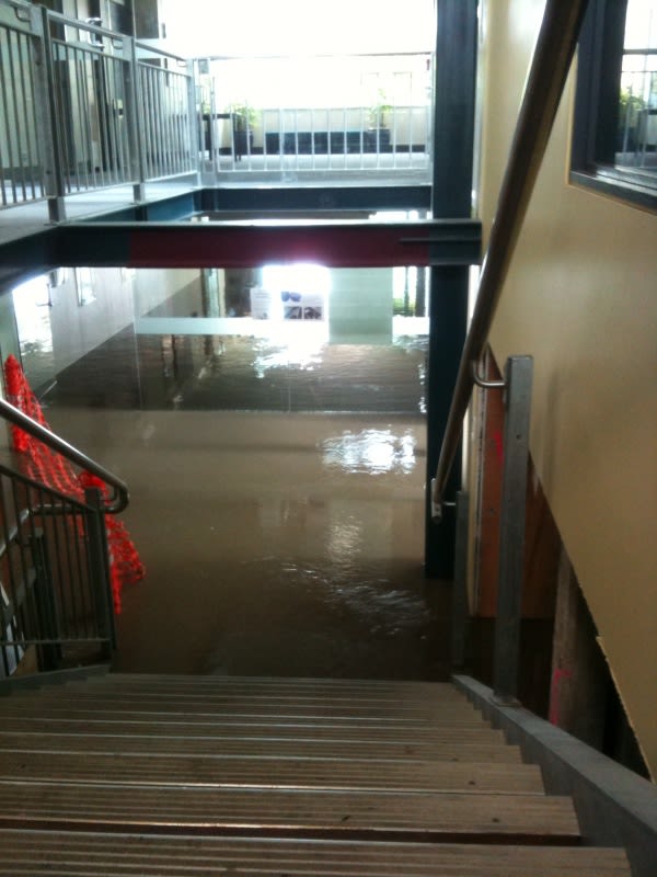 Water flooded foyers and rooms inside the Connell building, at the School of Human Movement and Nutrition Sciences. Image: School of Human Movement and Nutrition Sciences