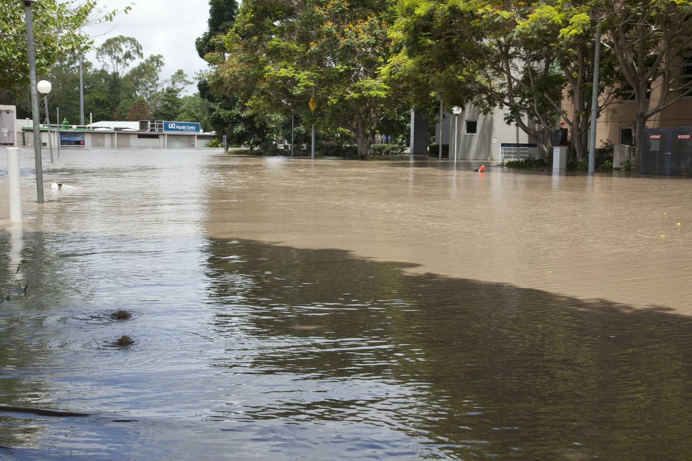 An image showing Blair Drive is completely submerged as water floods nearby buildings.