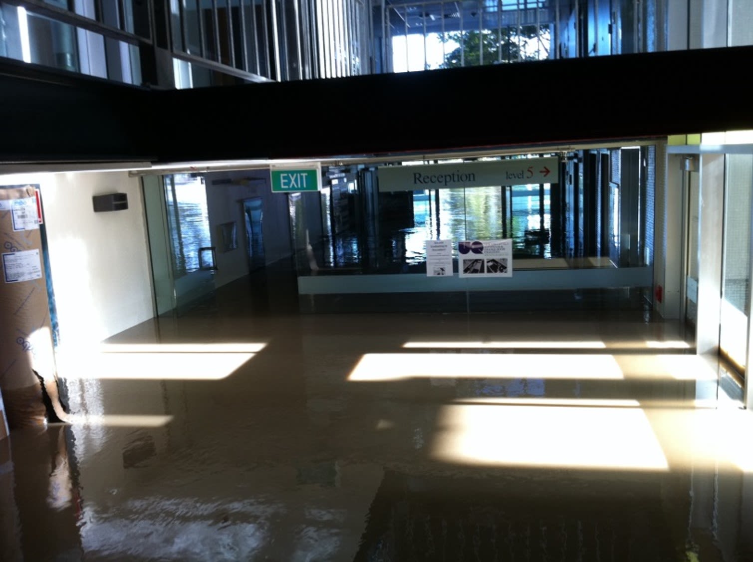 An image showing how water reached shoulder height inside the Connell building, at the School of Human Movement and Nutrition Sciences.