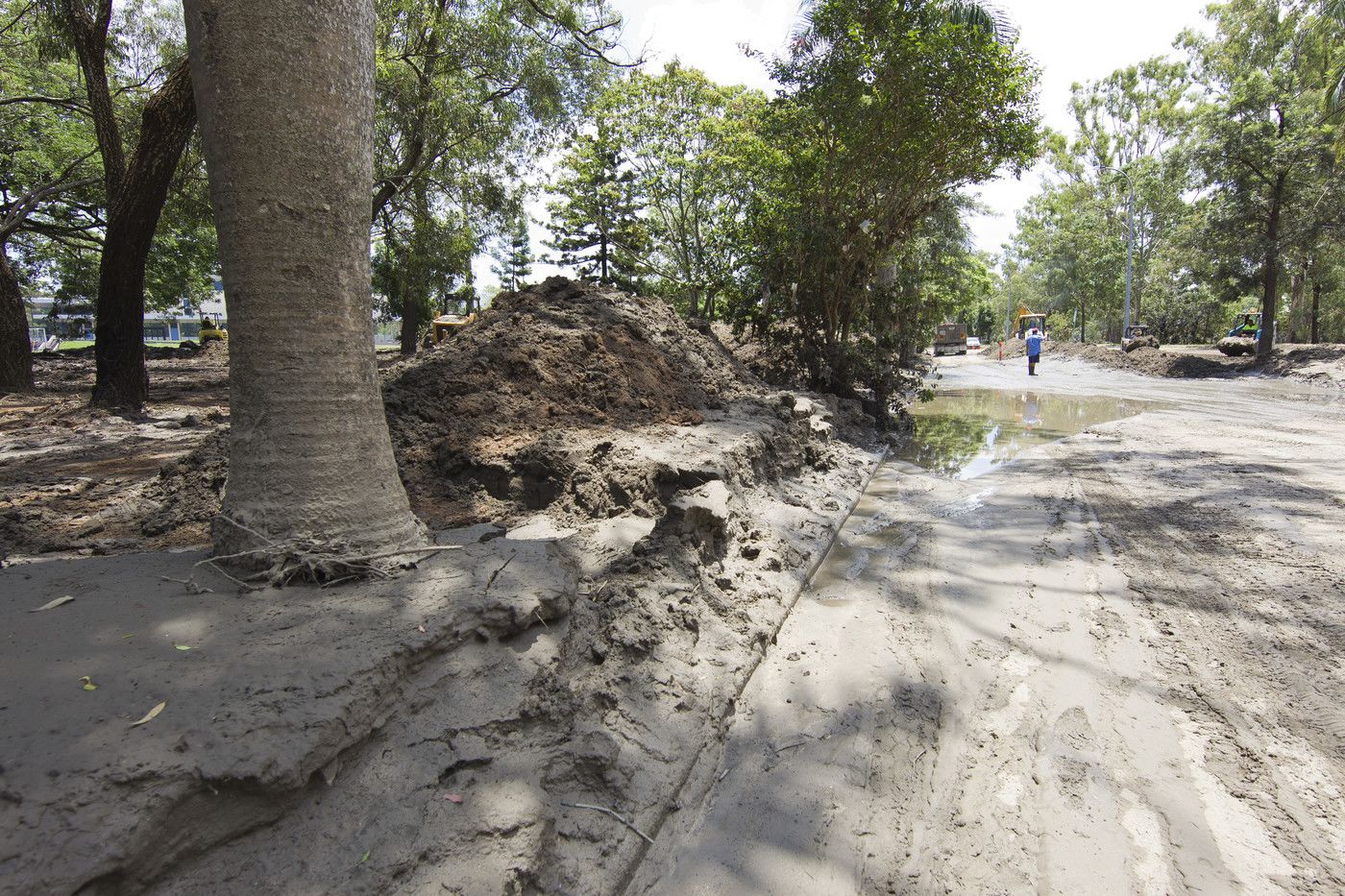 An image of the path of destruction along Sir William MacGregor Drive, on the banks of the Brisbane River.