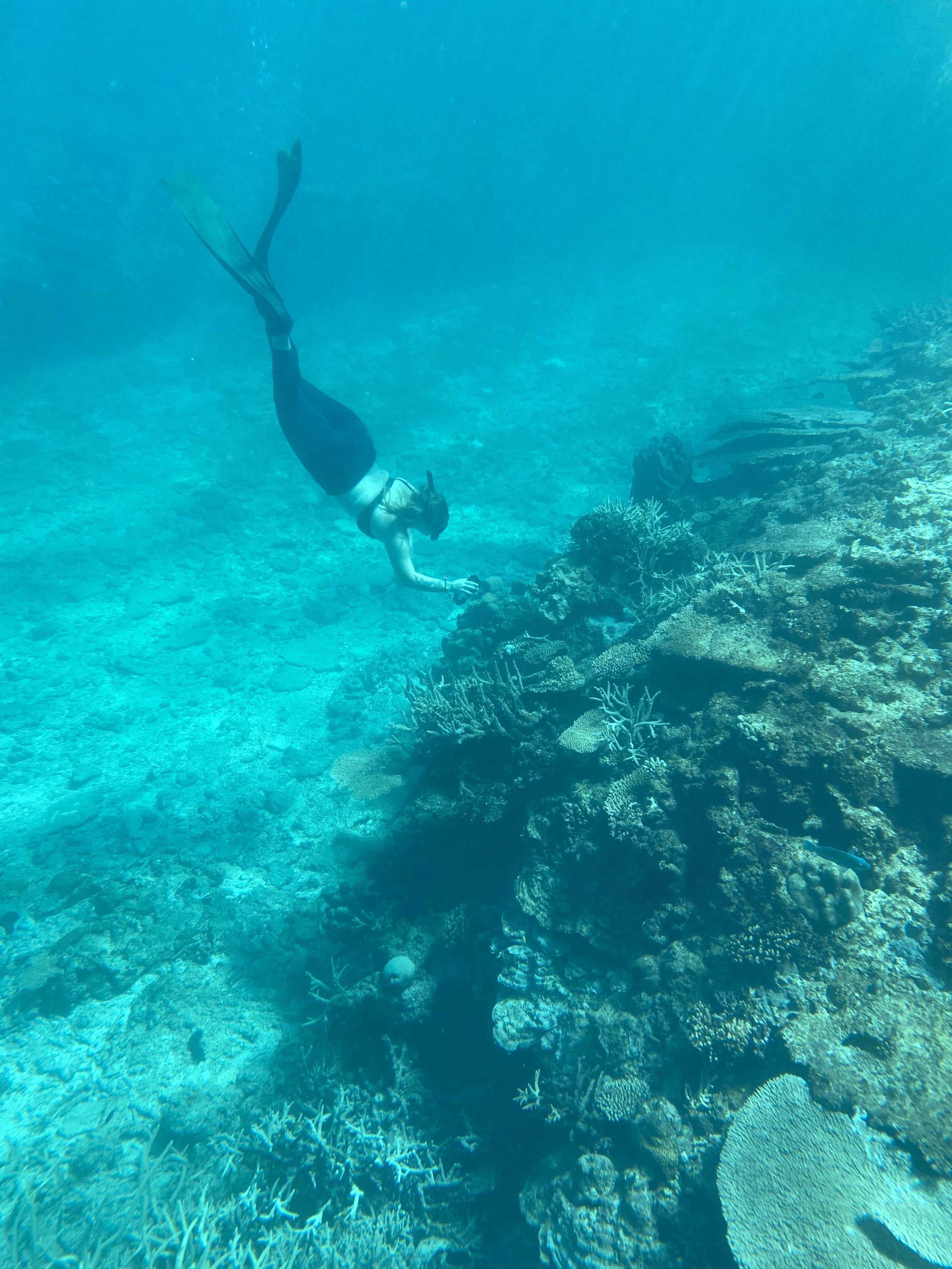 Kirsten Slemint diving at Heron Island