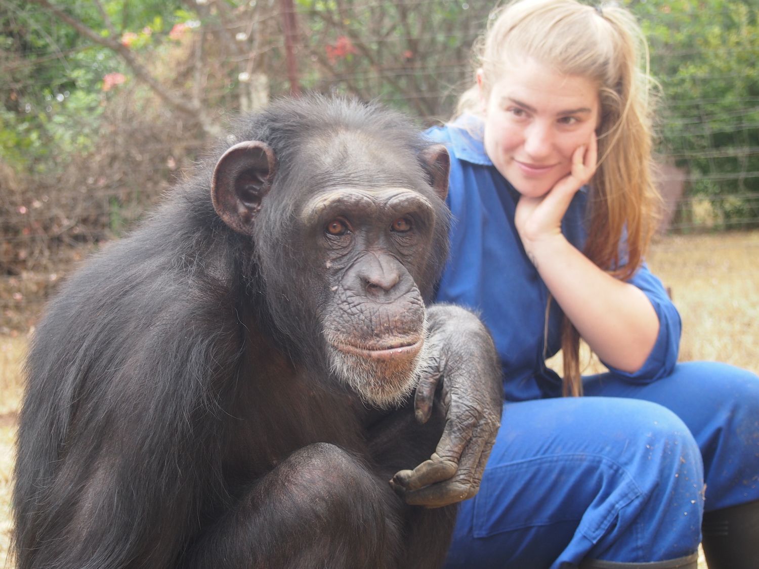 Kirsten Slemint and chimpanzee