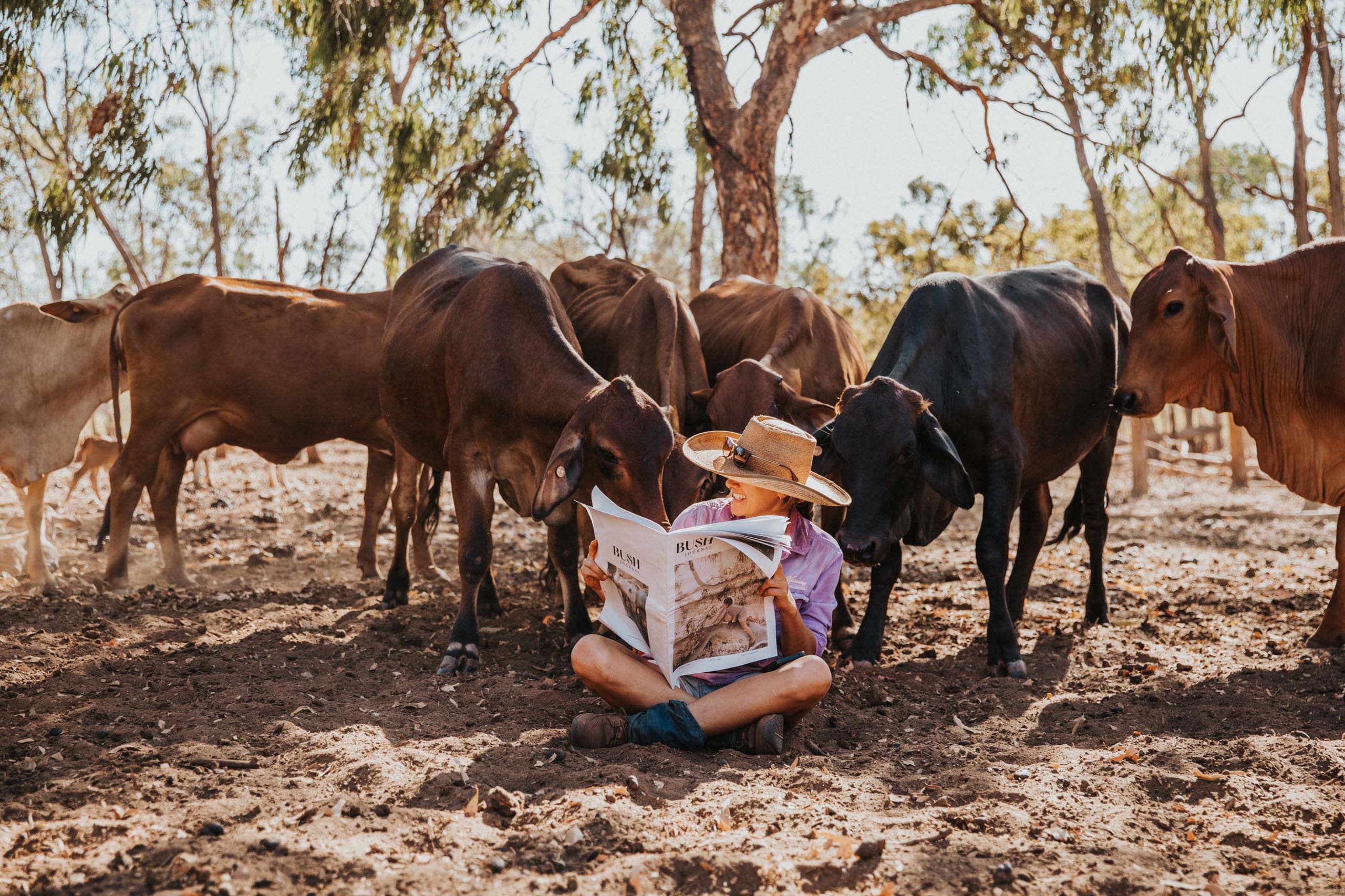 An open farming field at sunset. The sun sits barely above the treeline, shining rays out across the grassy field. You can see low mountains in the distance along the horizon.