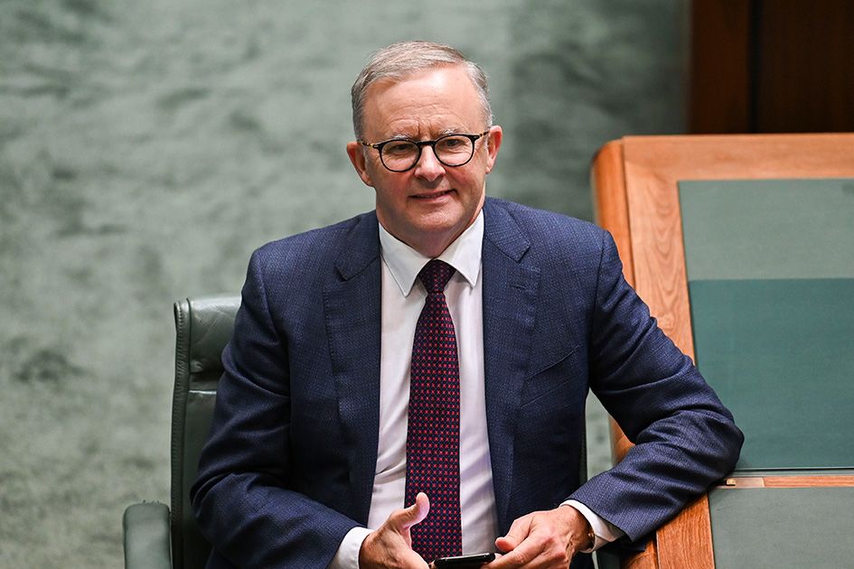Anthony Albanese sitting in the House of Representatives