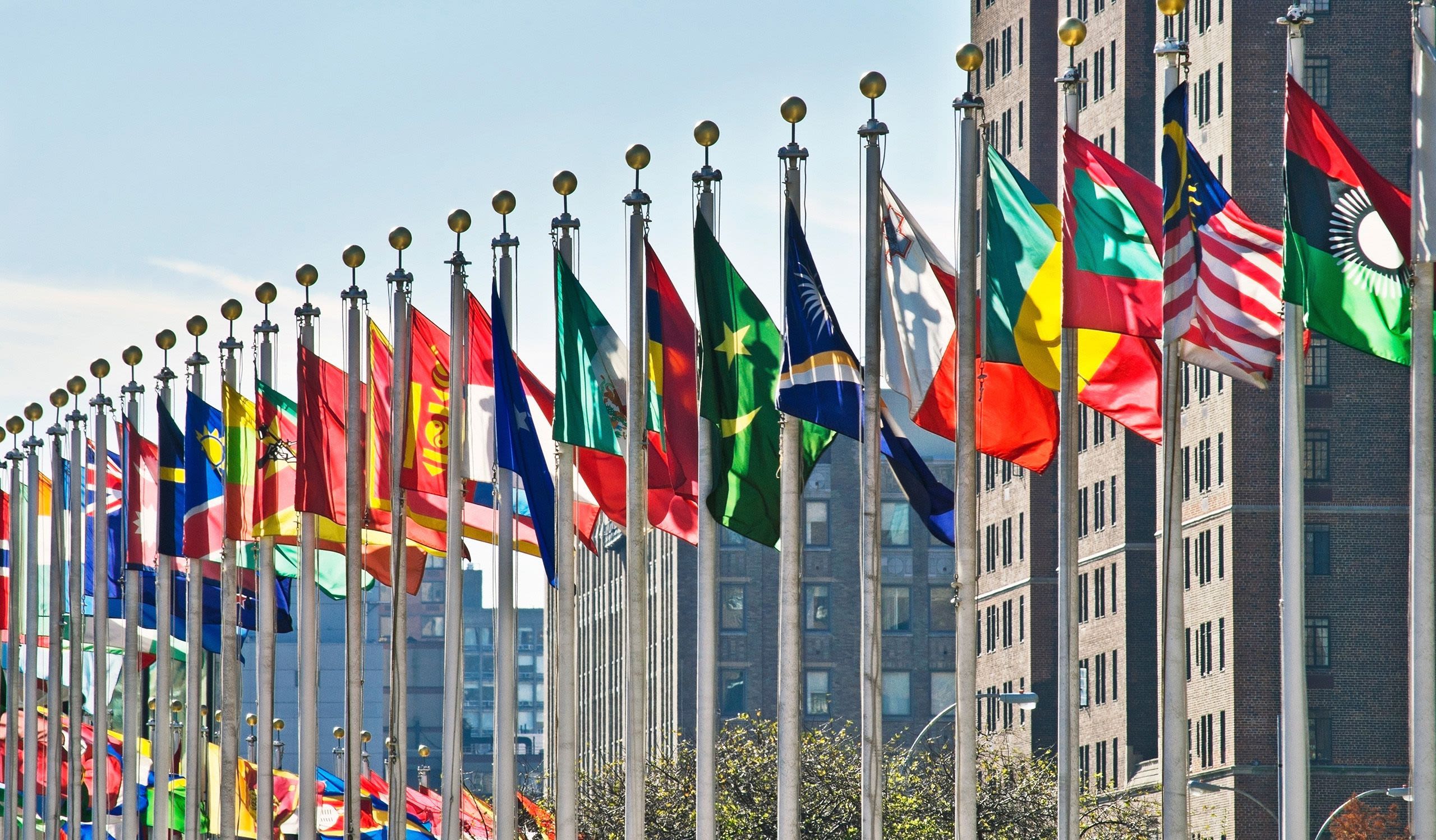 A row of bright flags from dozens of different countries on flag poles. There are sky scrapers in the background.