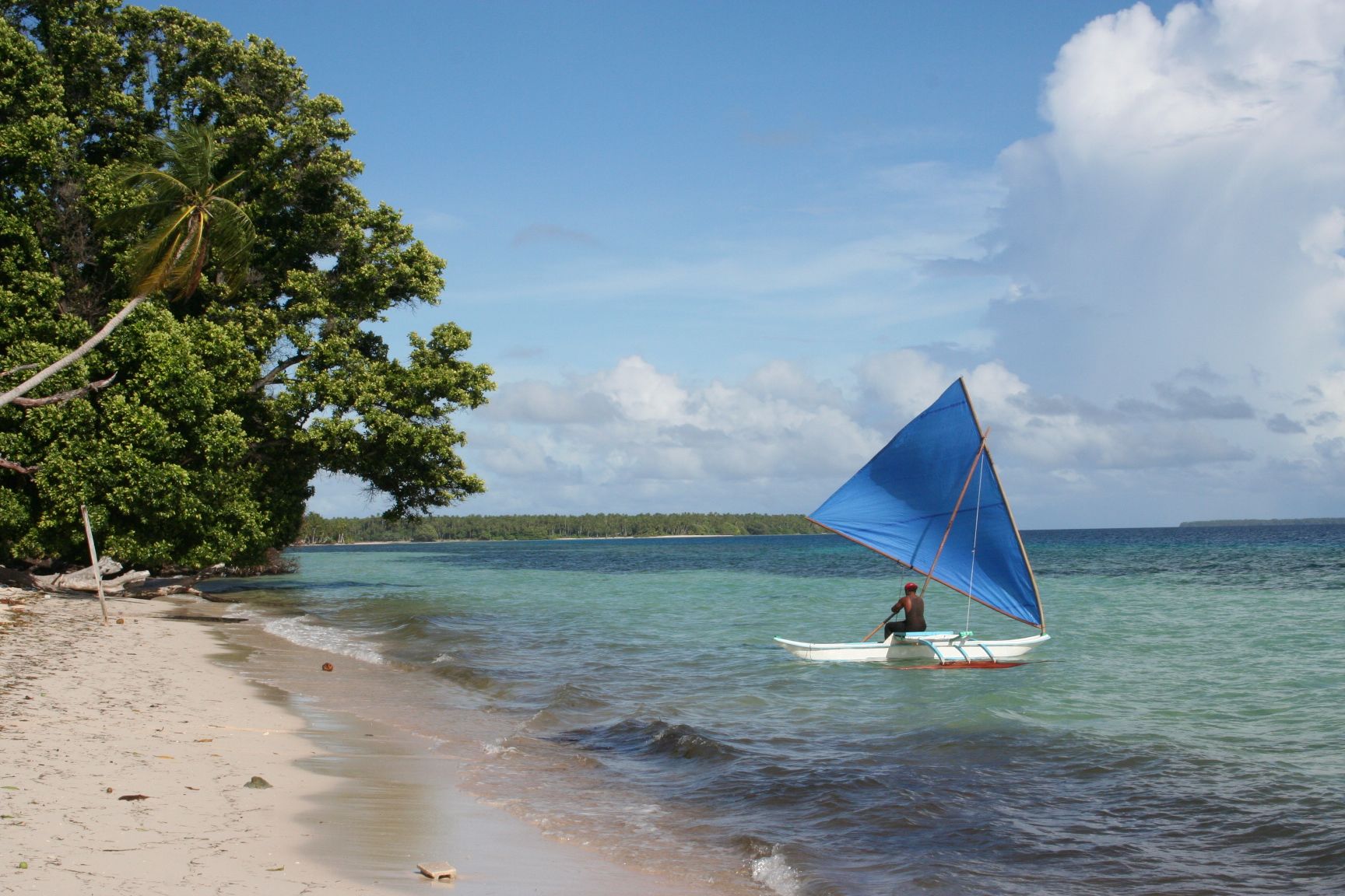 A person is in a small canoe sitting in shallow water off a sandy beach with dense trees.