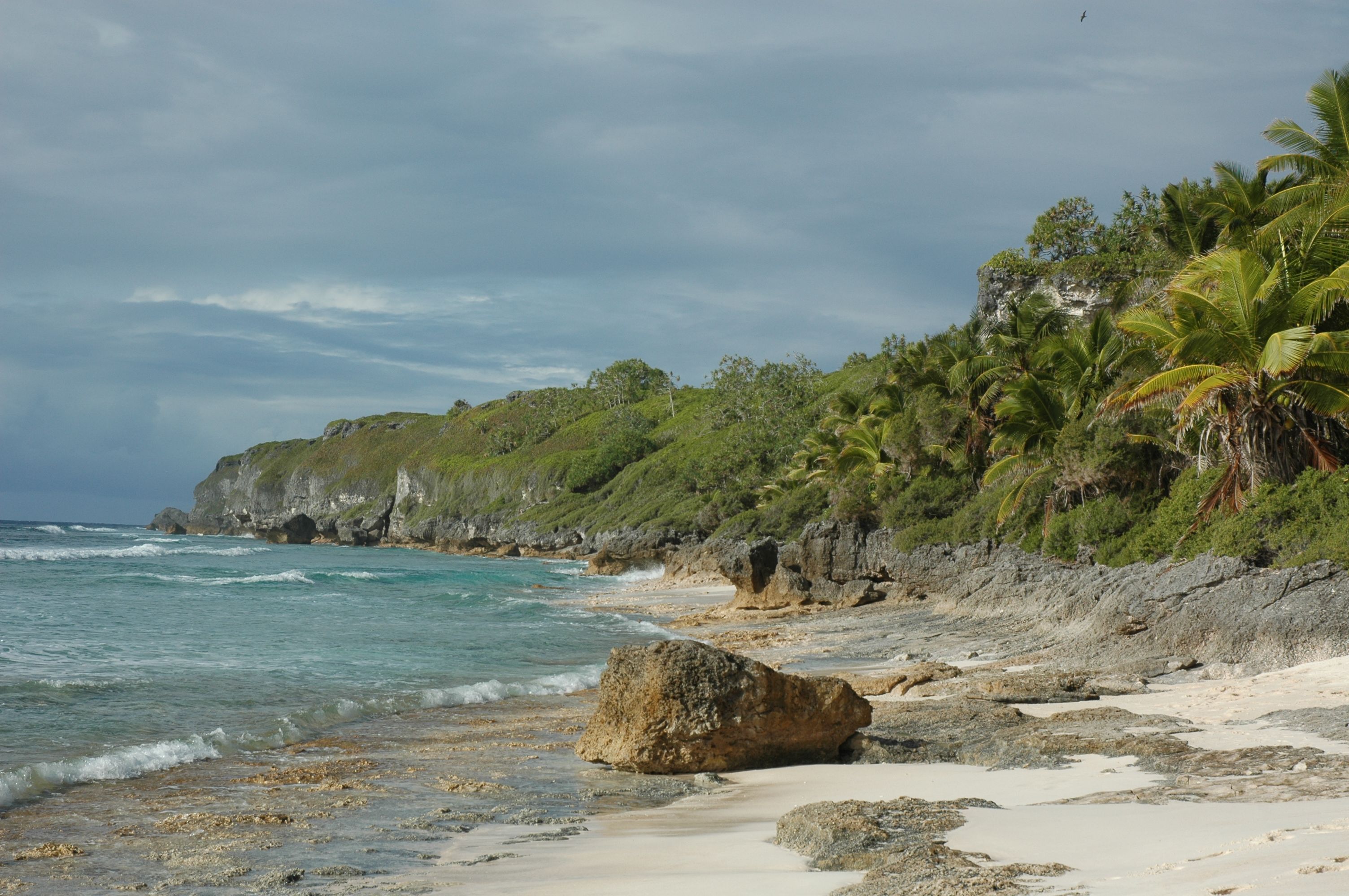 A rocky beach with water splashing up along the shoreline. The coast is covered with trees and grass.