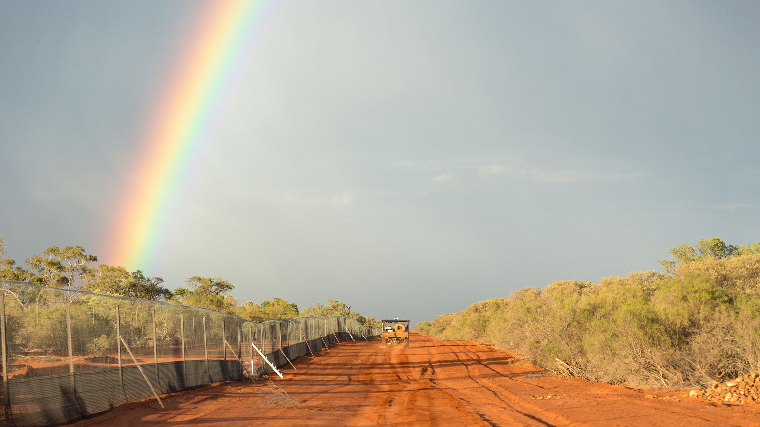 The fence at Currawinya with a rainbow in the left corner.