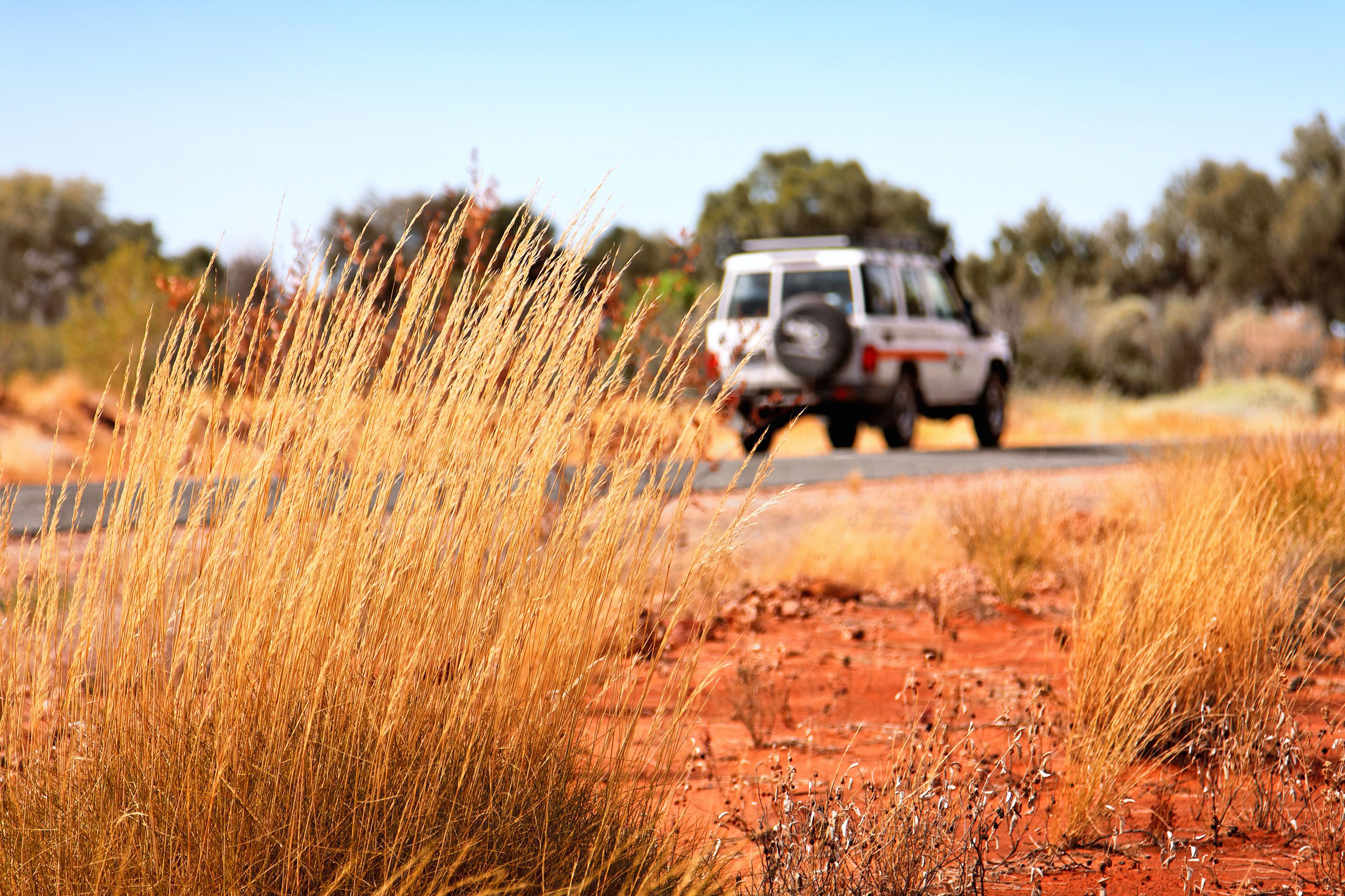 An image of Toyota Landcruiser driving along the country roads of country Queensland.