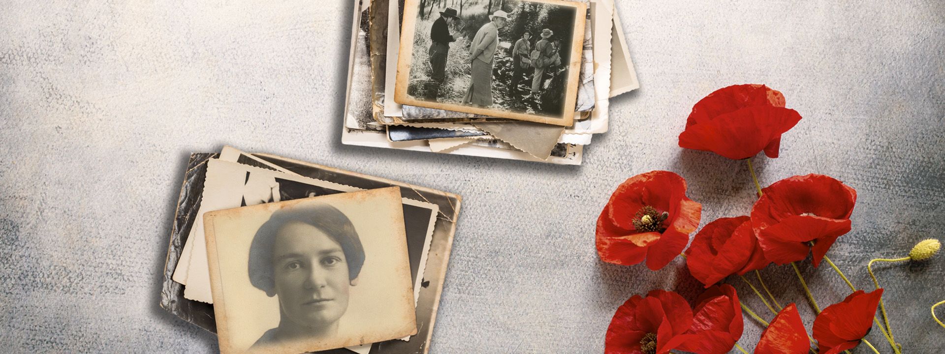 Collage of photos of Dorothy Hill alongside a bouquet of poppies