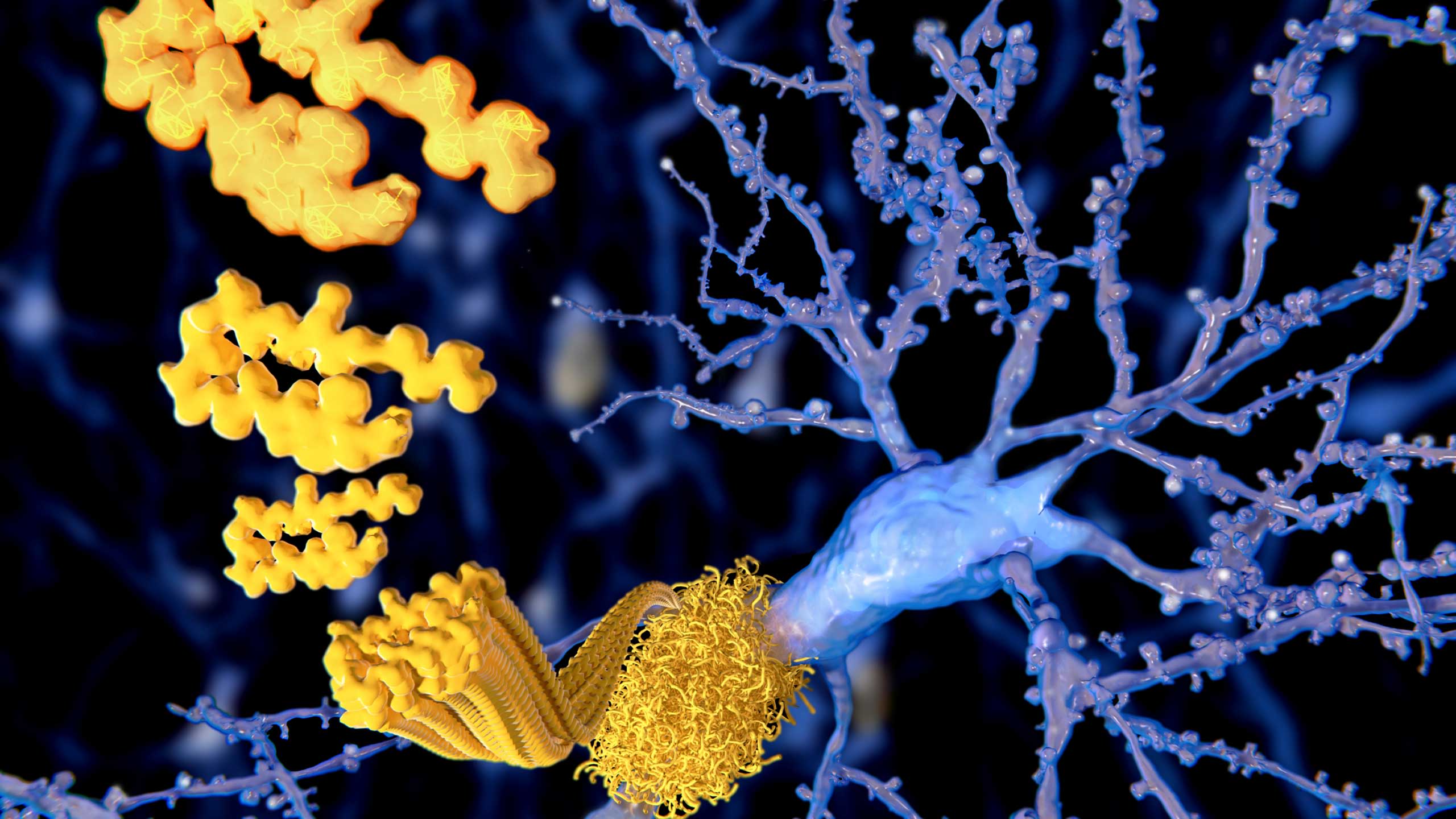 computer illustration of amyloid beta peptide.