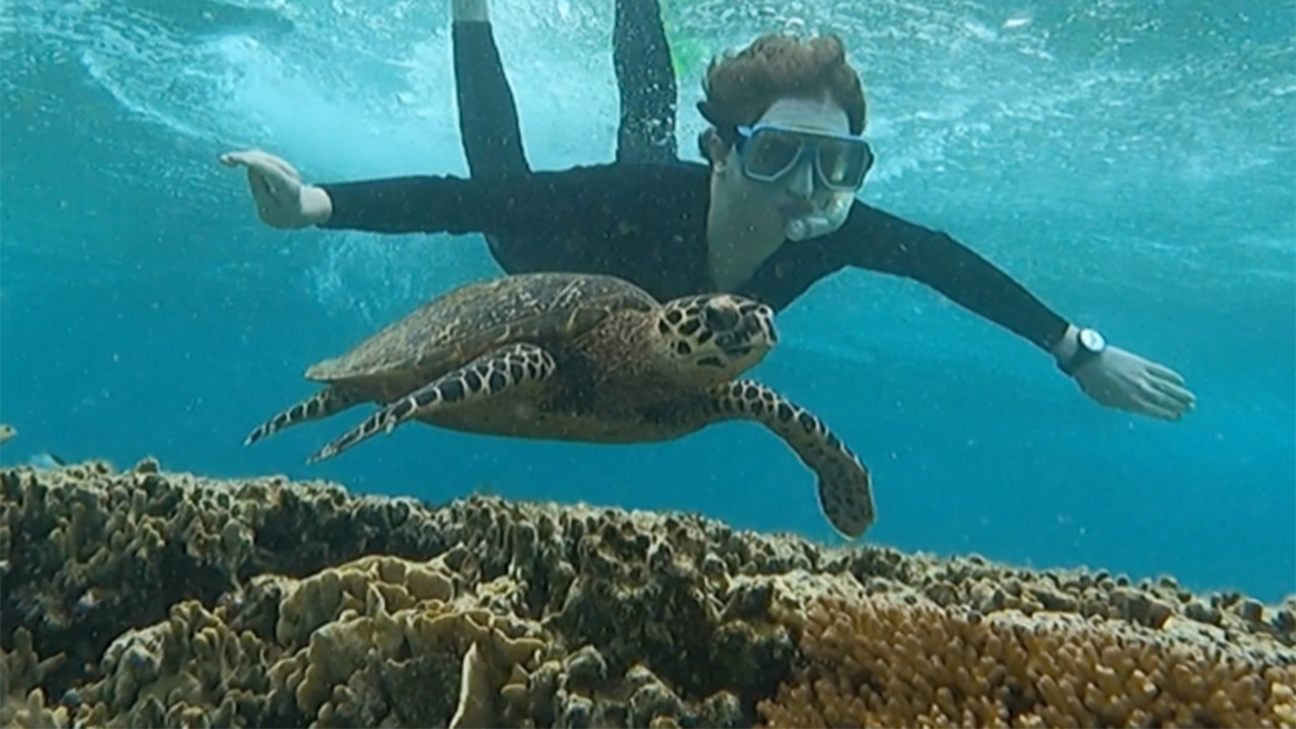 An image of Turtle Tribe founder Ned Heaton snorkling with sea turtle.